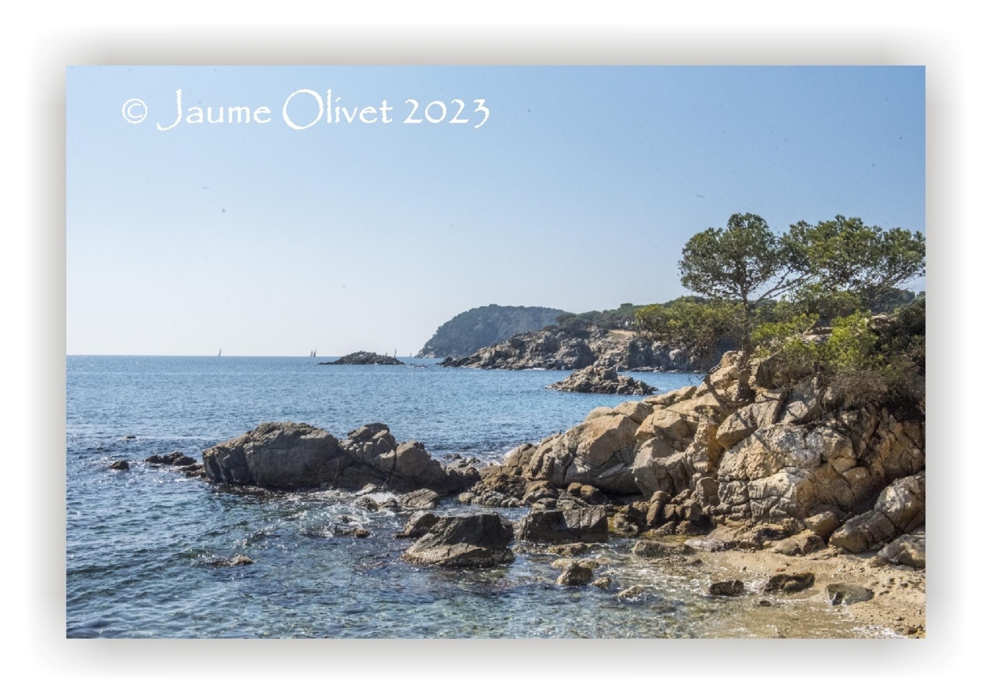  Jaume Olivet 2023
