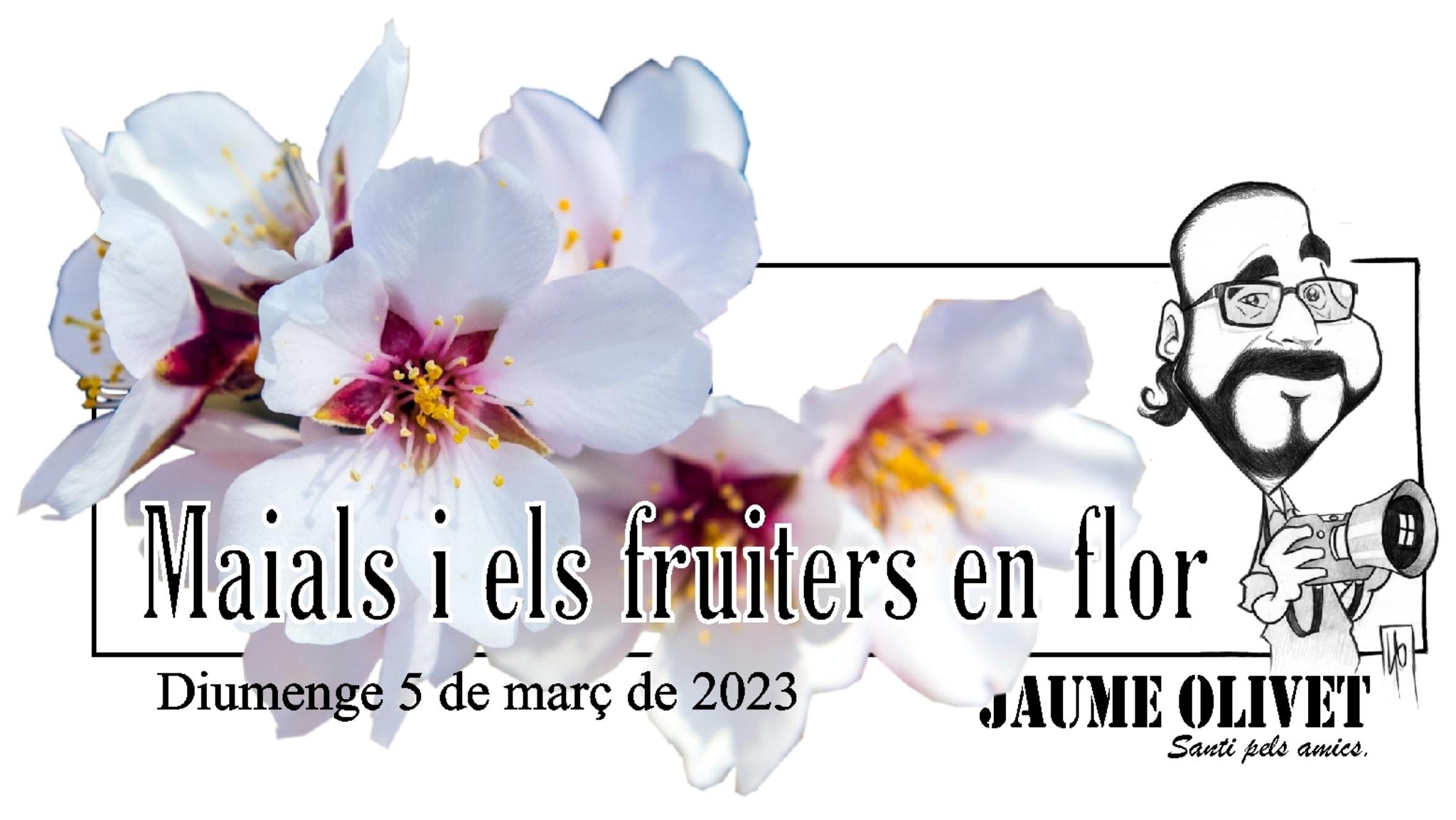  Jaume Olivet 2023