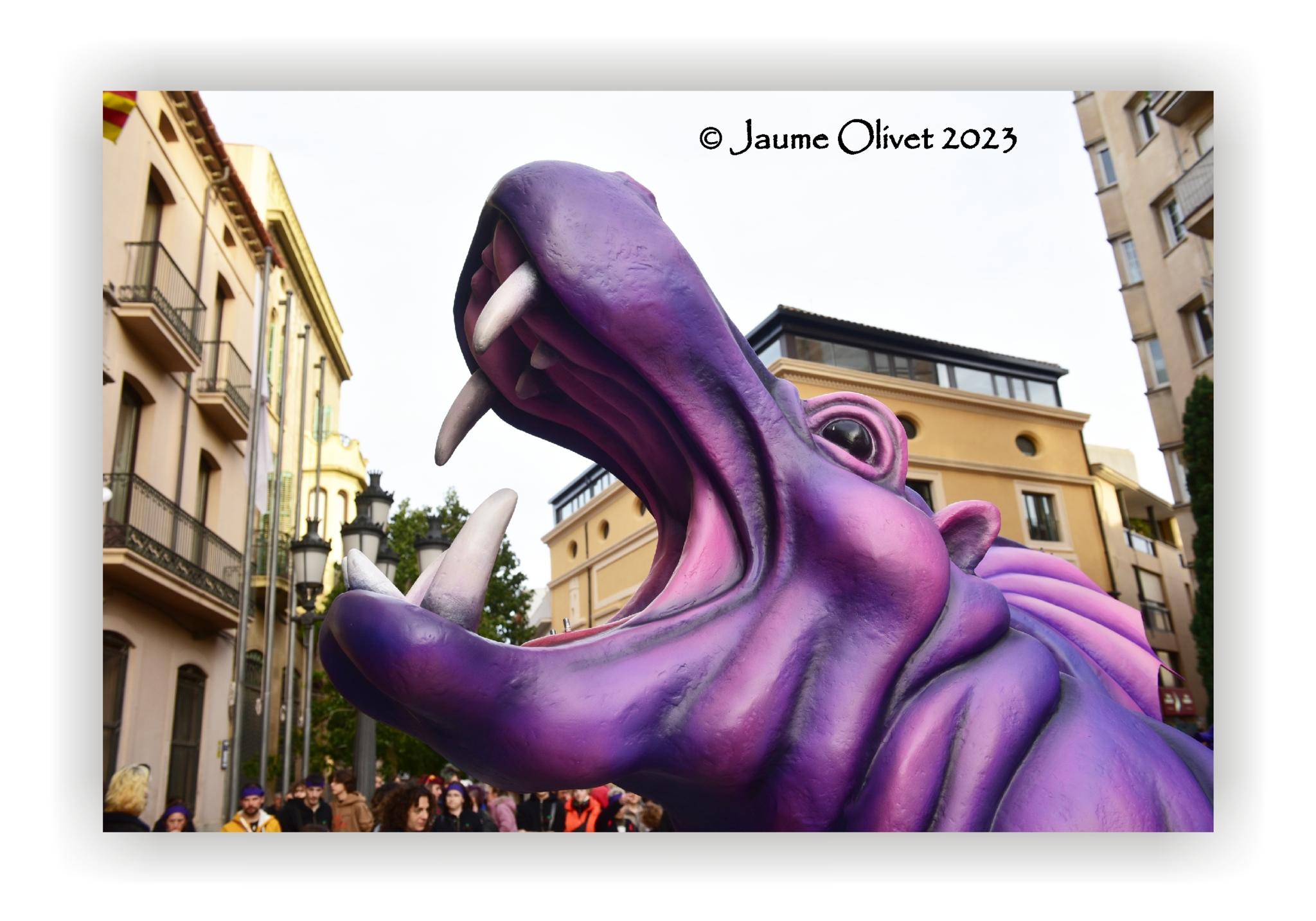  Jaume Olivet 2023