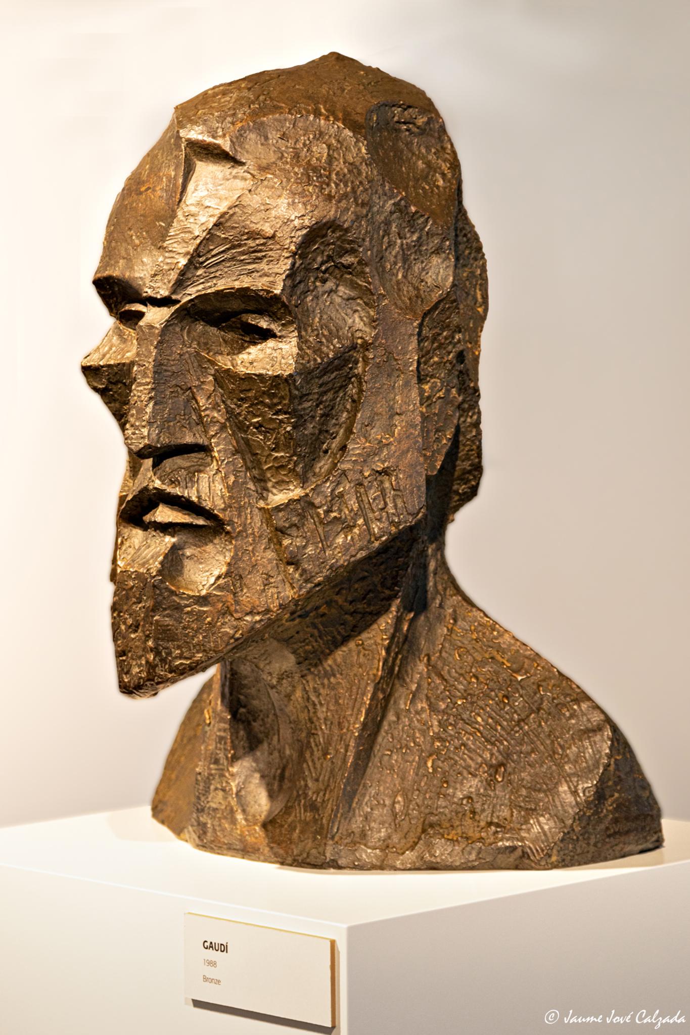  Jaume Jov 2024
