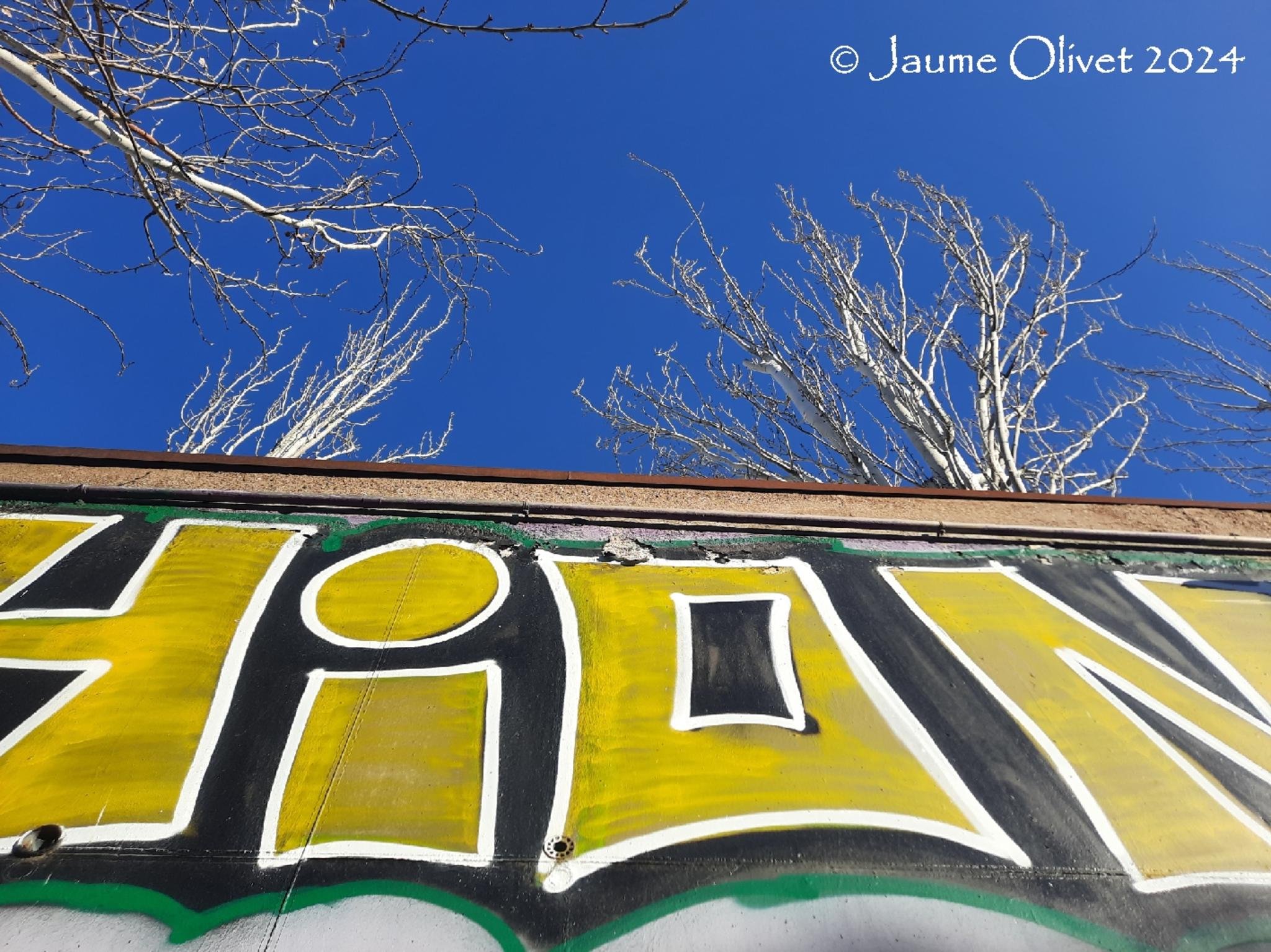  Jaume Olivet 2024