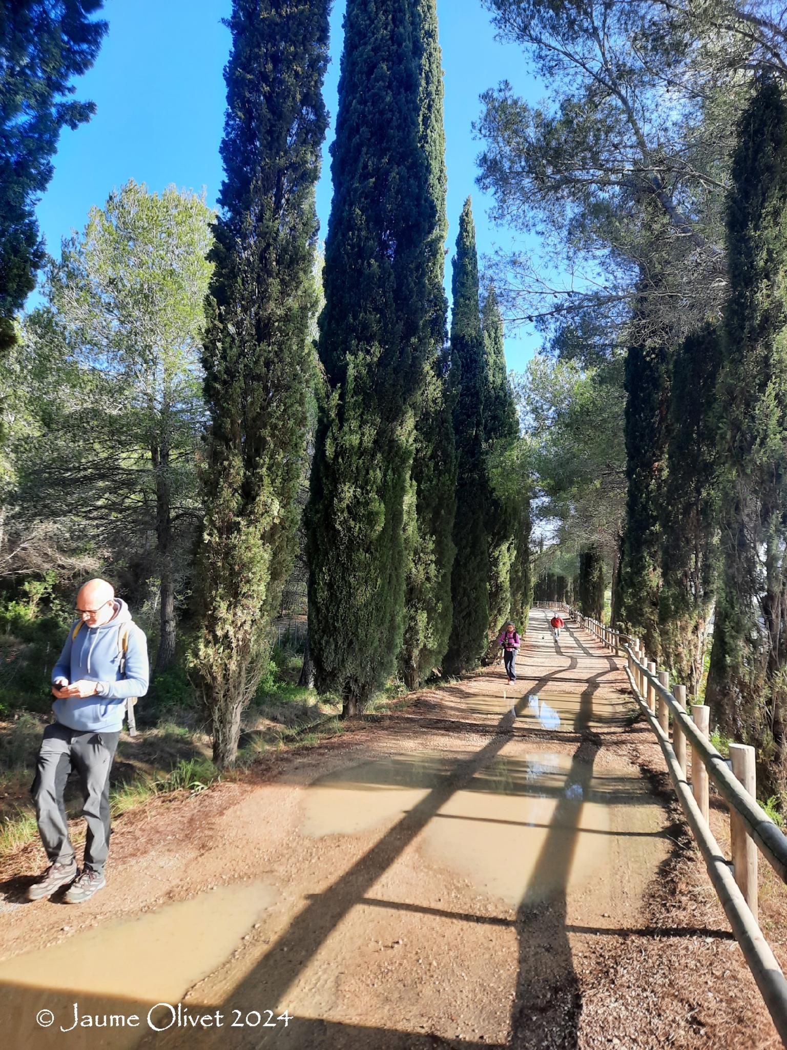  Jaume Olivet 2024