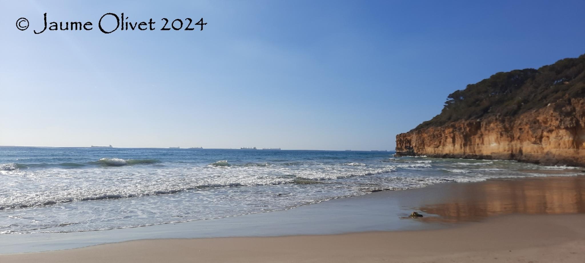  Jaume Olivet 2024