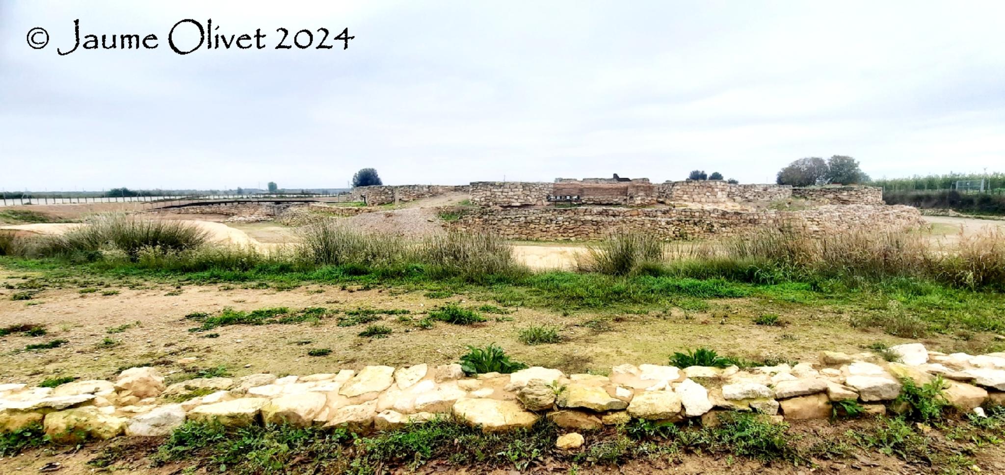  Jaume Olivet 2024