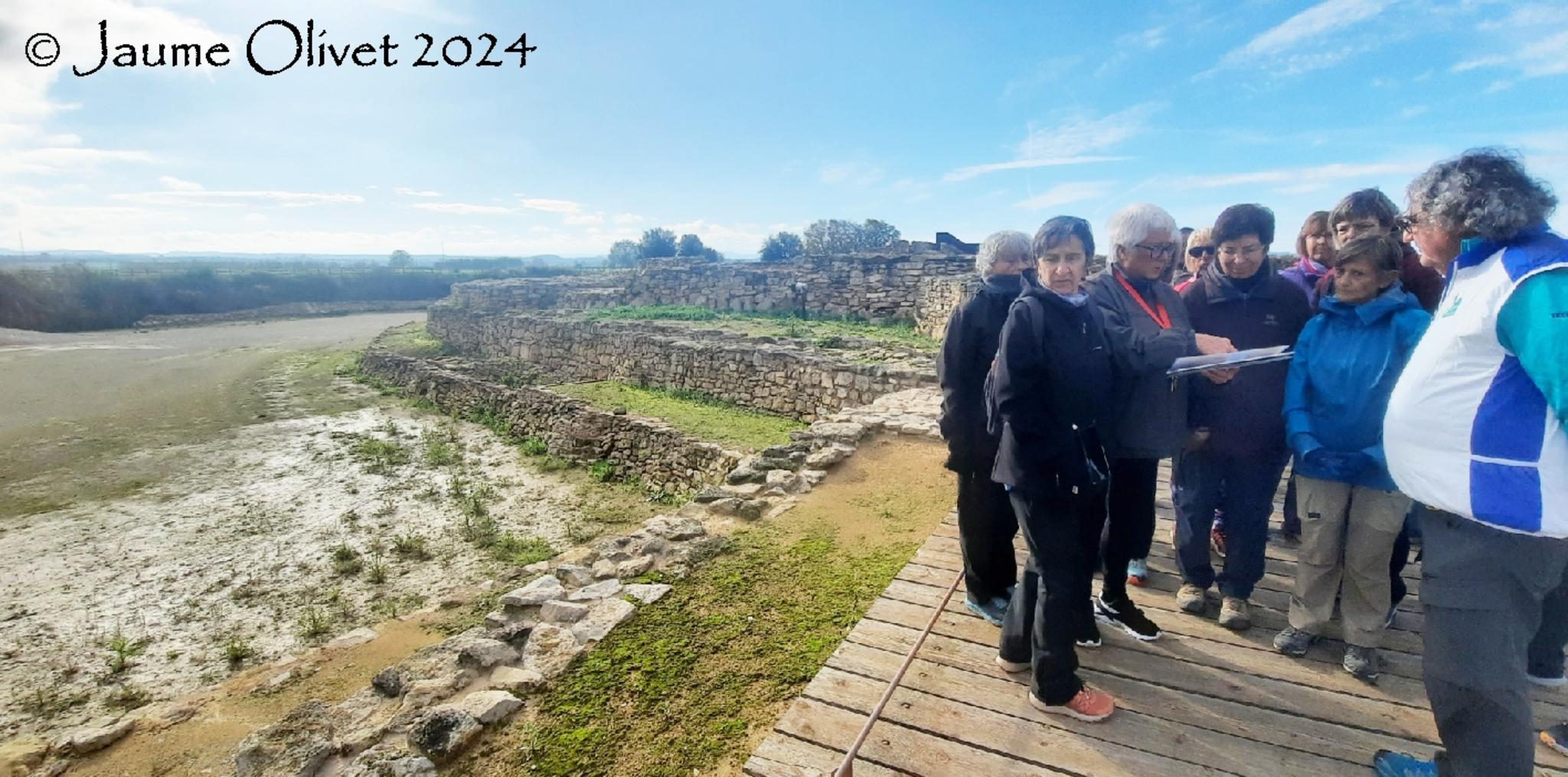  Jaume Olivet 2024