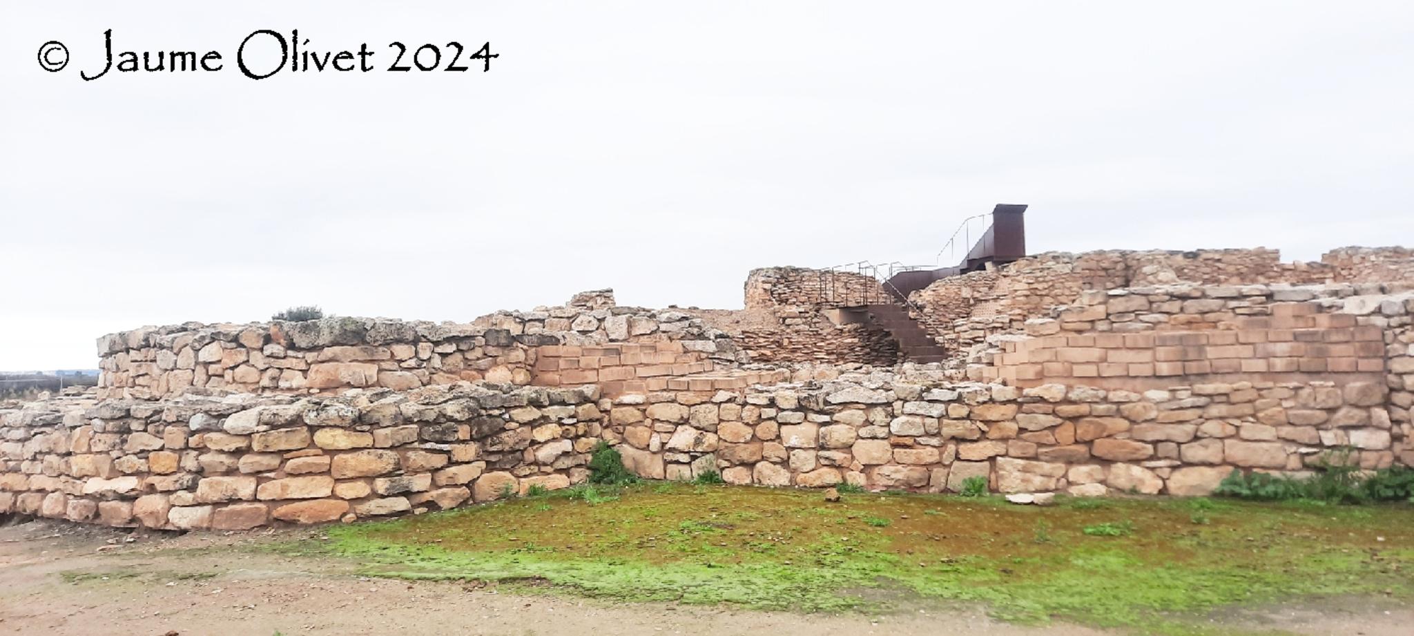  Jaume Olivet 2024