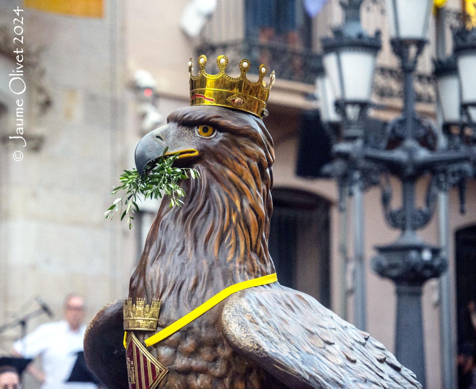  Jaume Olivet 2024