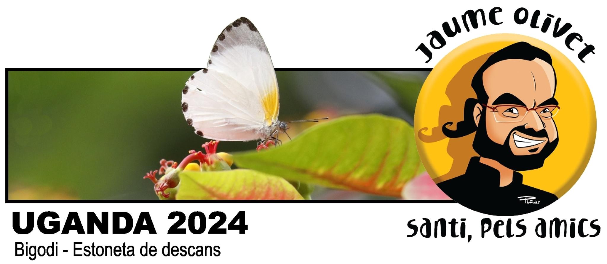  Jaume Olivet 2024