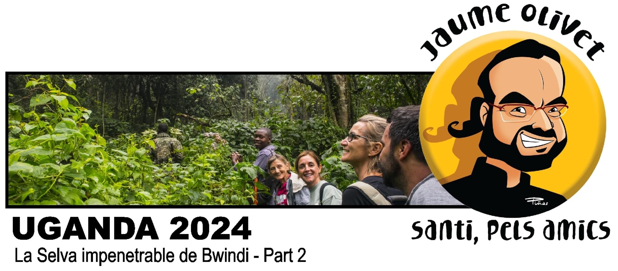  Jaume Olivet 2024