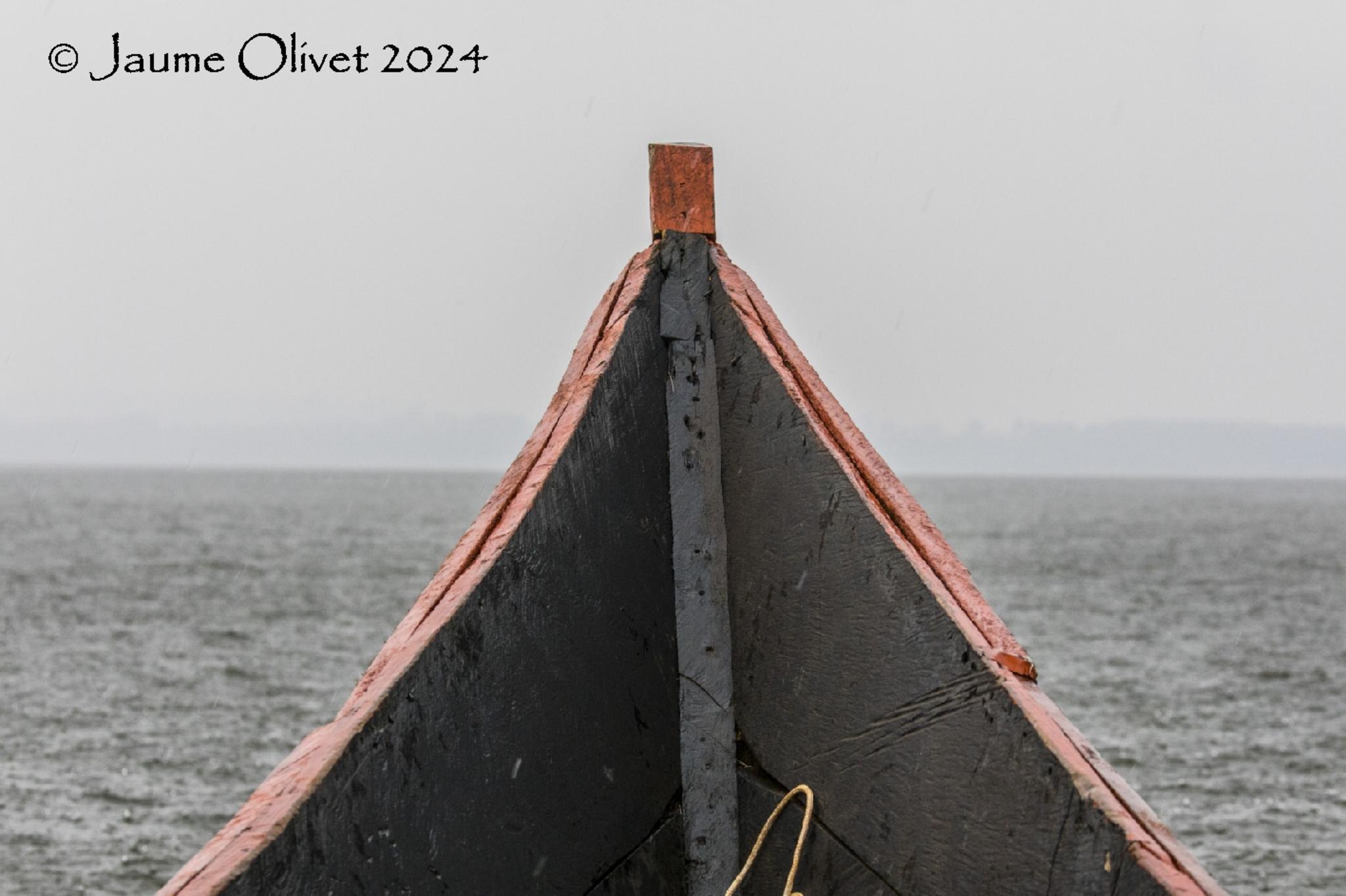  Jaume Olivet 2024