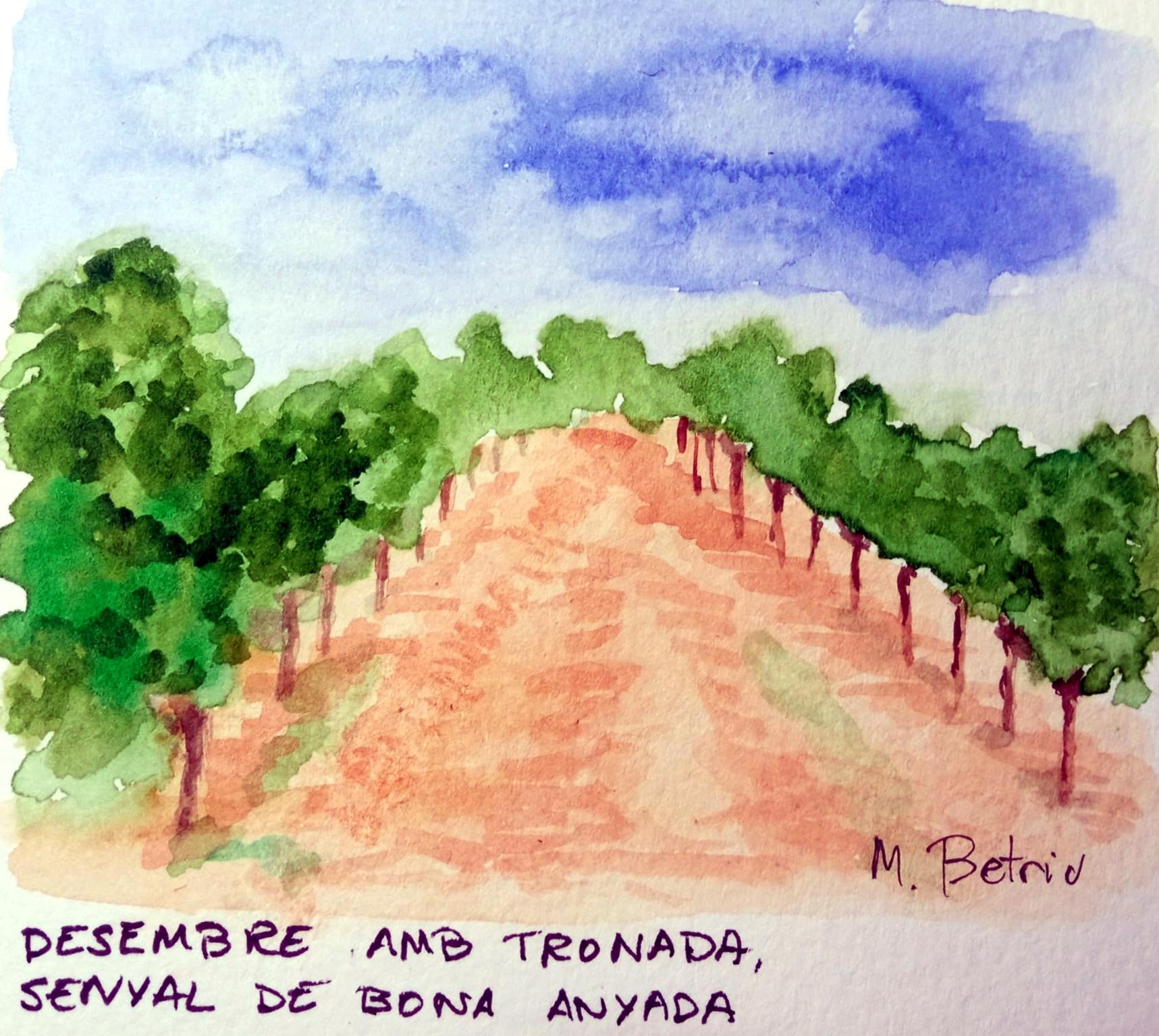 � Jaume Olivet 2025