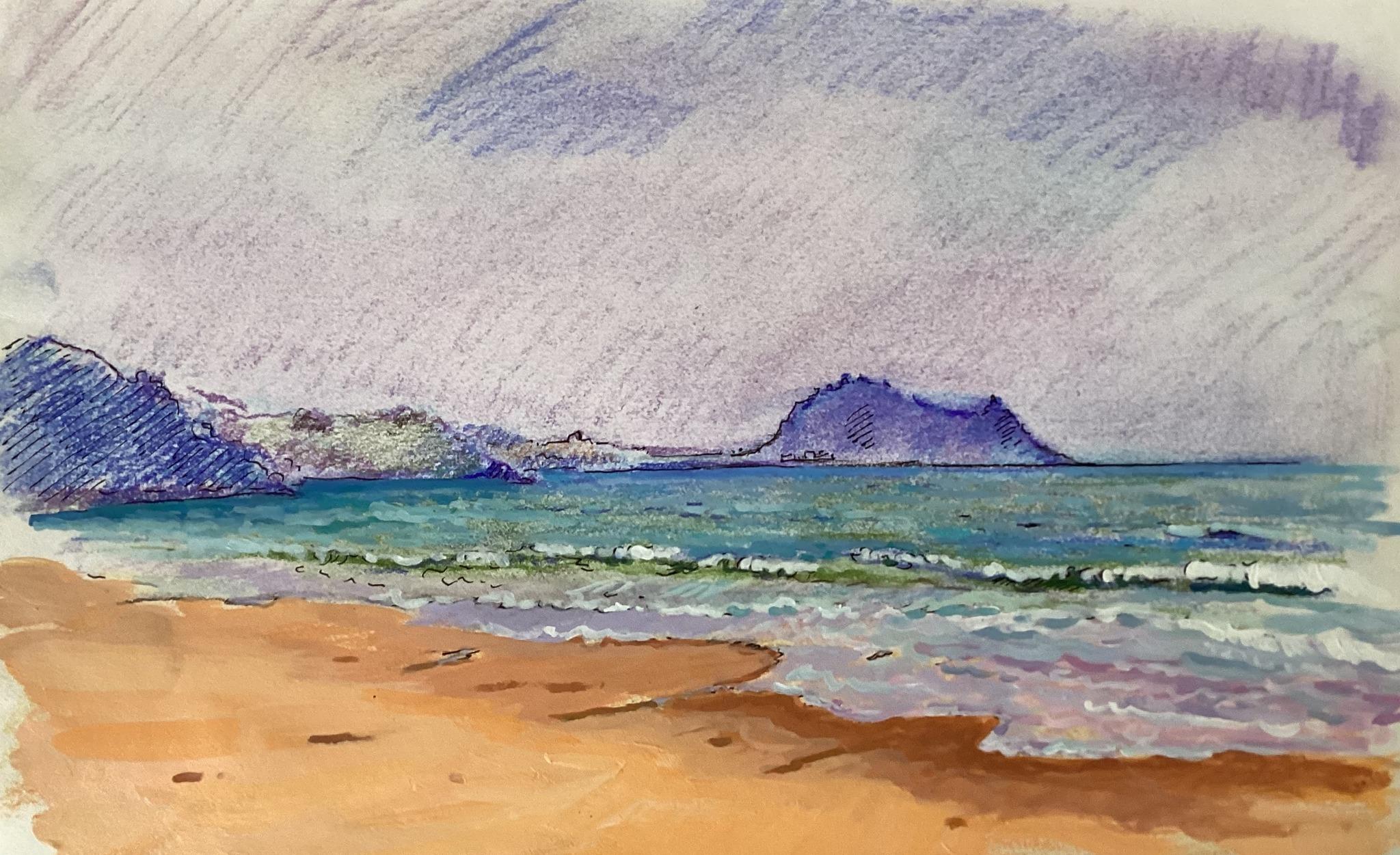 © Fernando Font de Gayà 2025