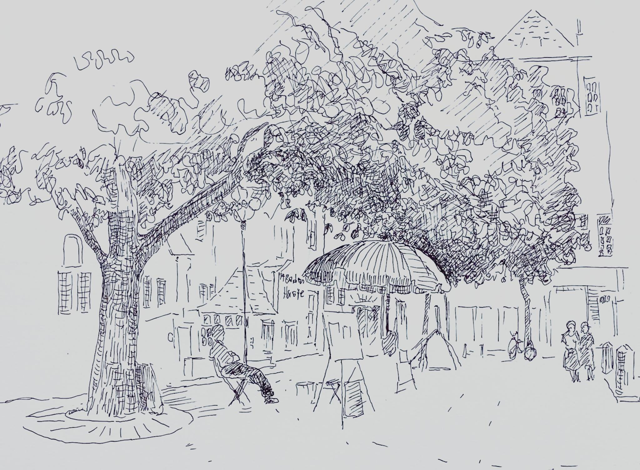 © Fernando Font de Gayà 2025