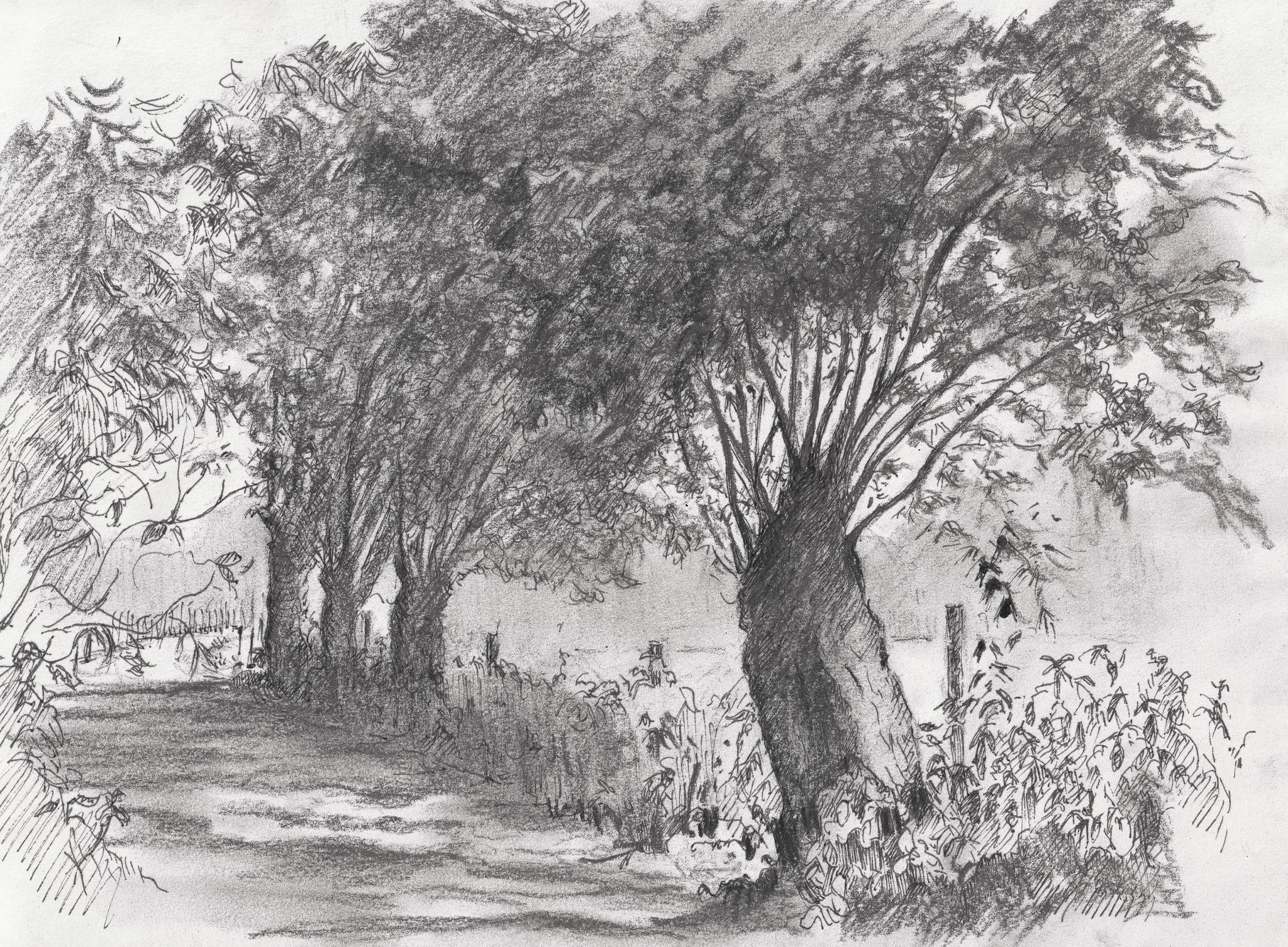 © Fernando Font de Gayà 2025