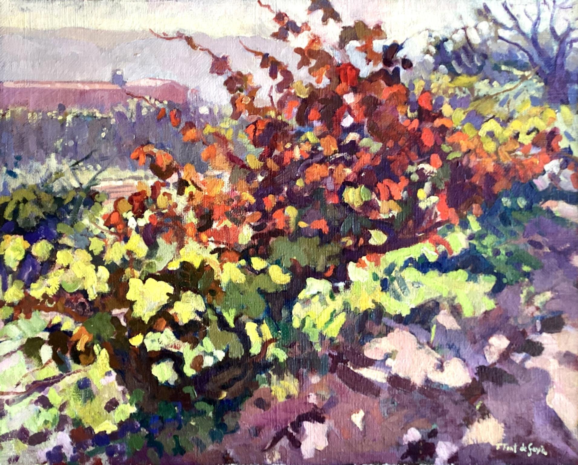 © Fernando Font de Gayà 2025