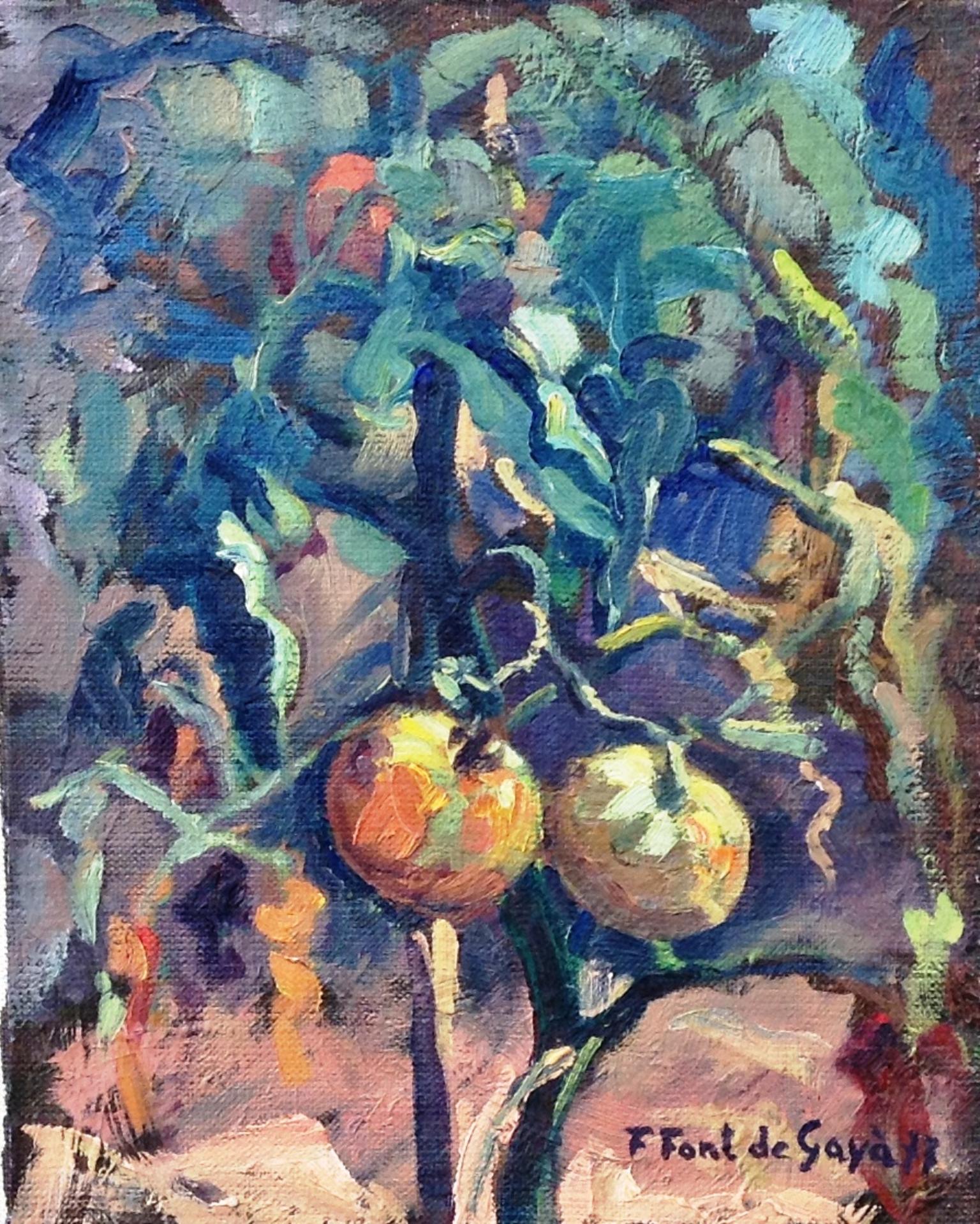 © Fernando Font de Gayà 2025