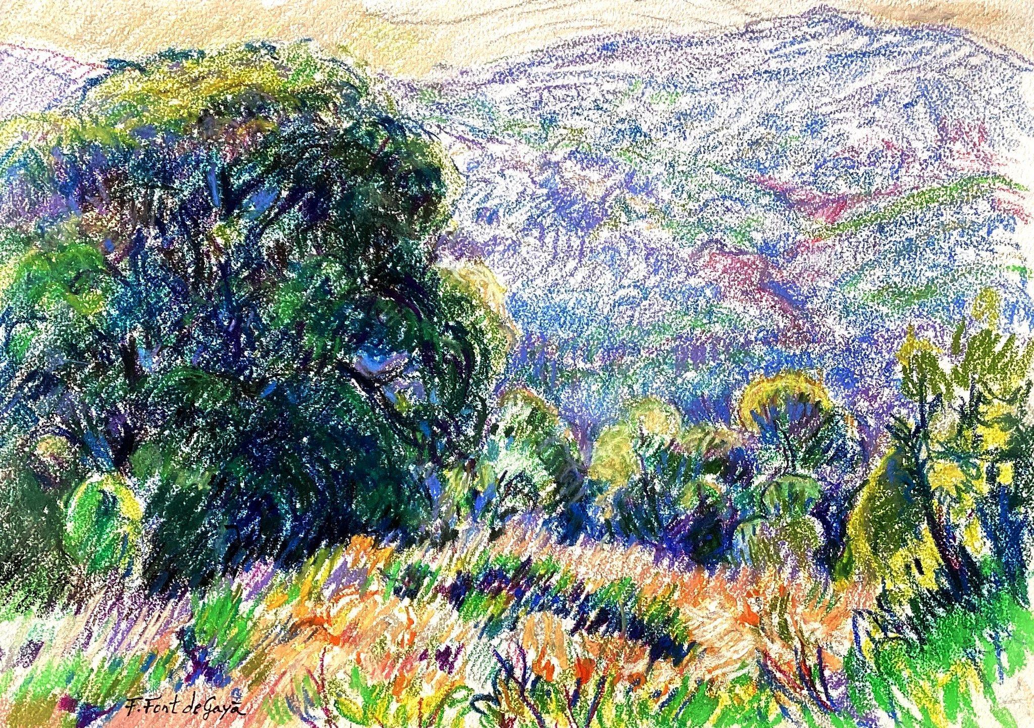 © Fernando Font de Gayà 2025