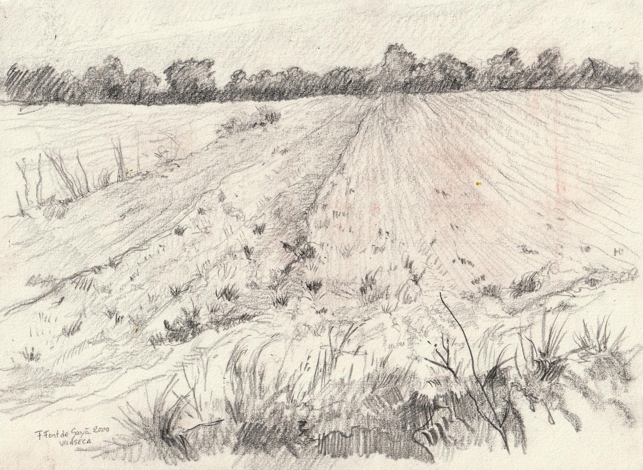 © Fernando Font de Gayà 2025