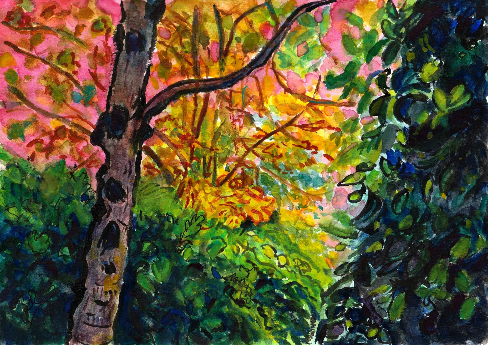 © Fernando Font de Gayà 2025