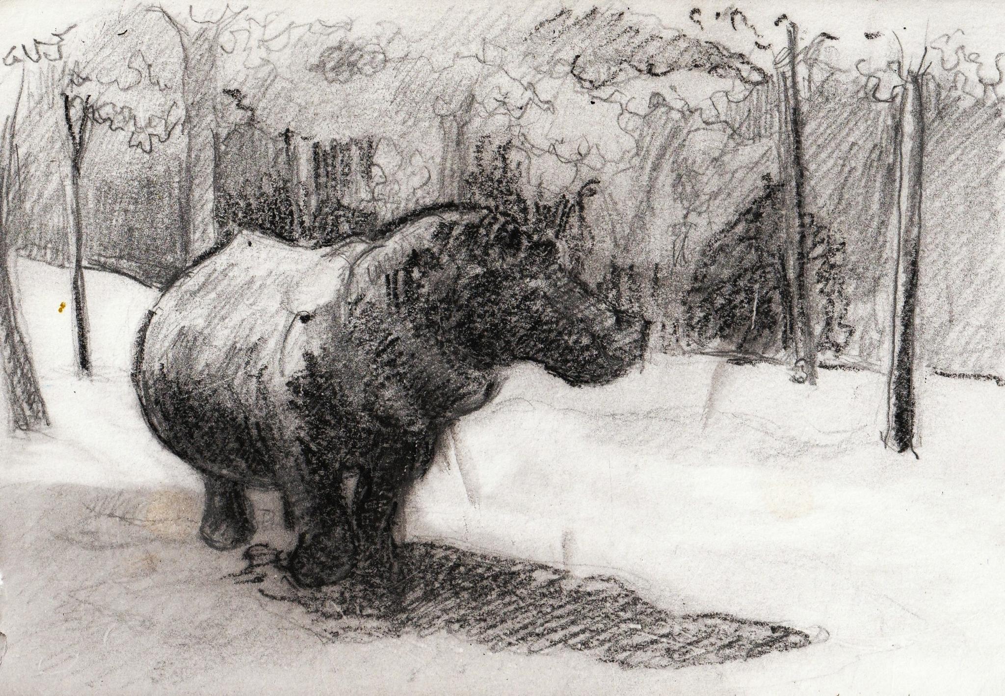 © Fernando Font de Gayà 2025