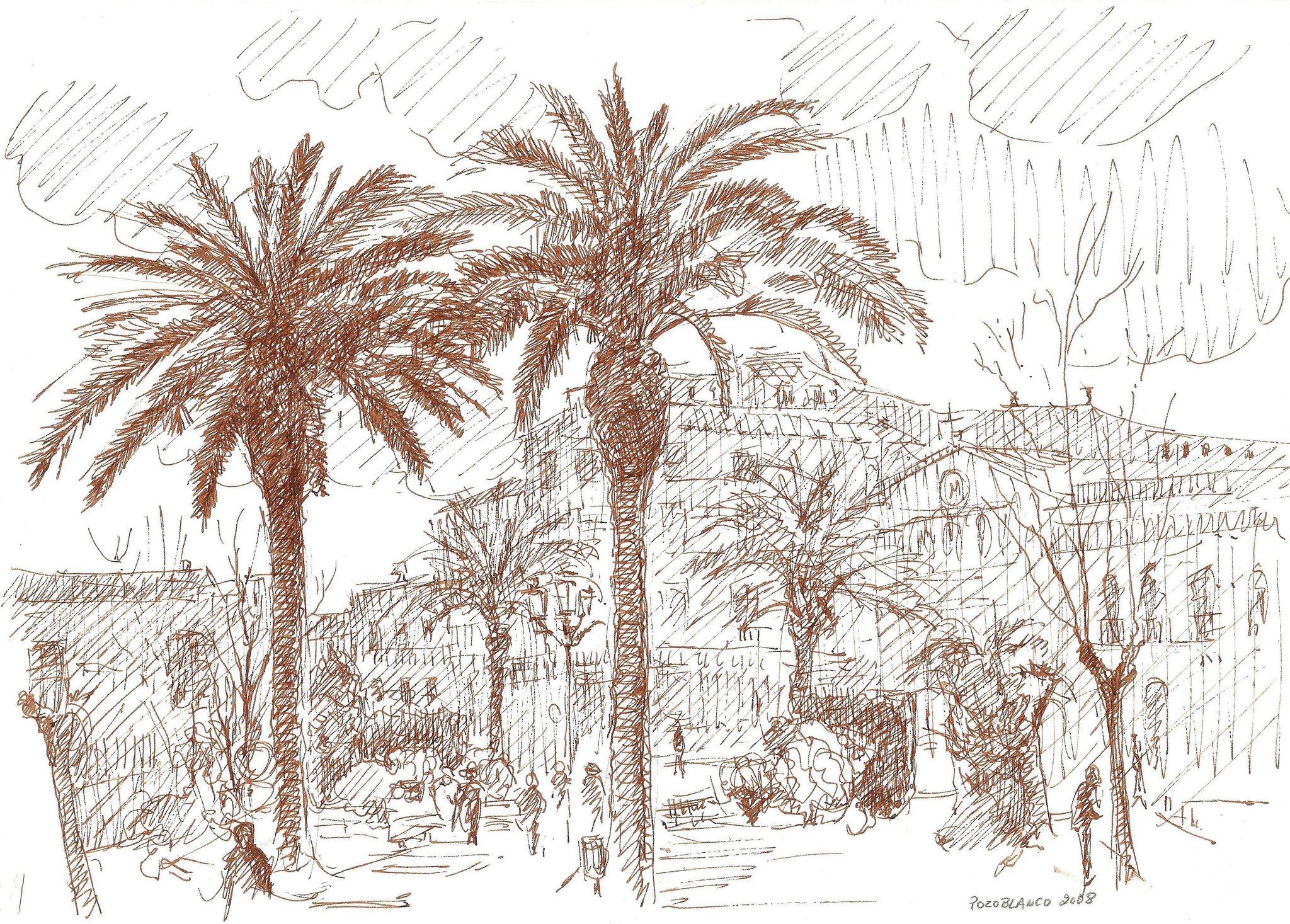 © Fernando Font de Gayà 2025