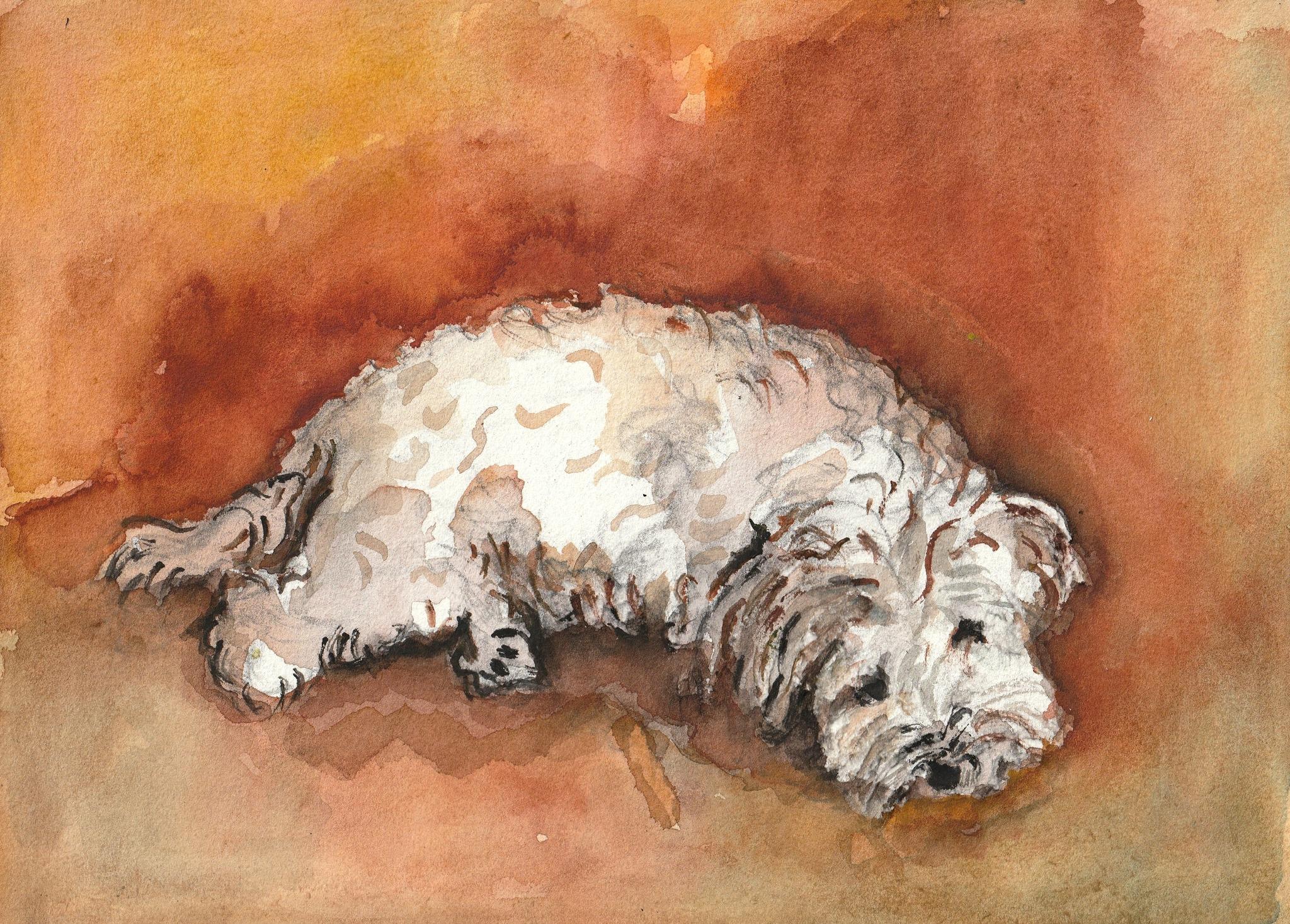 © Fernando Font de Gayà 2025