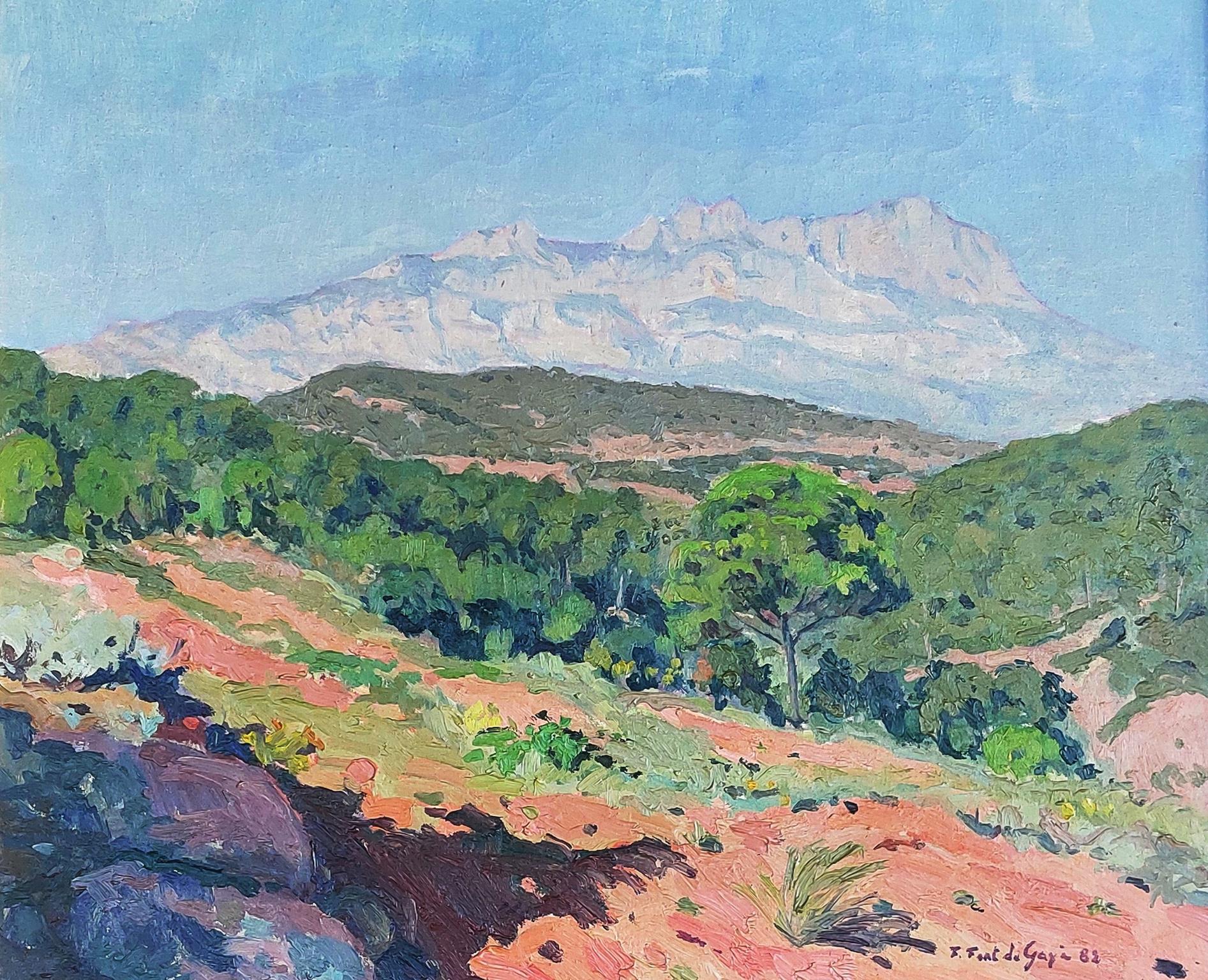 © Fernando Font de Gayà 2025