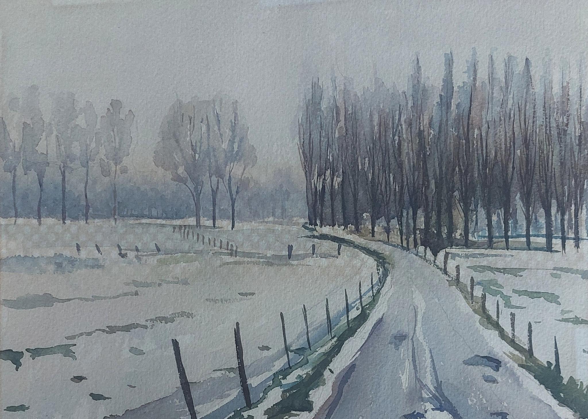 © Fernando Font de Gayà 2025