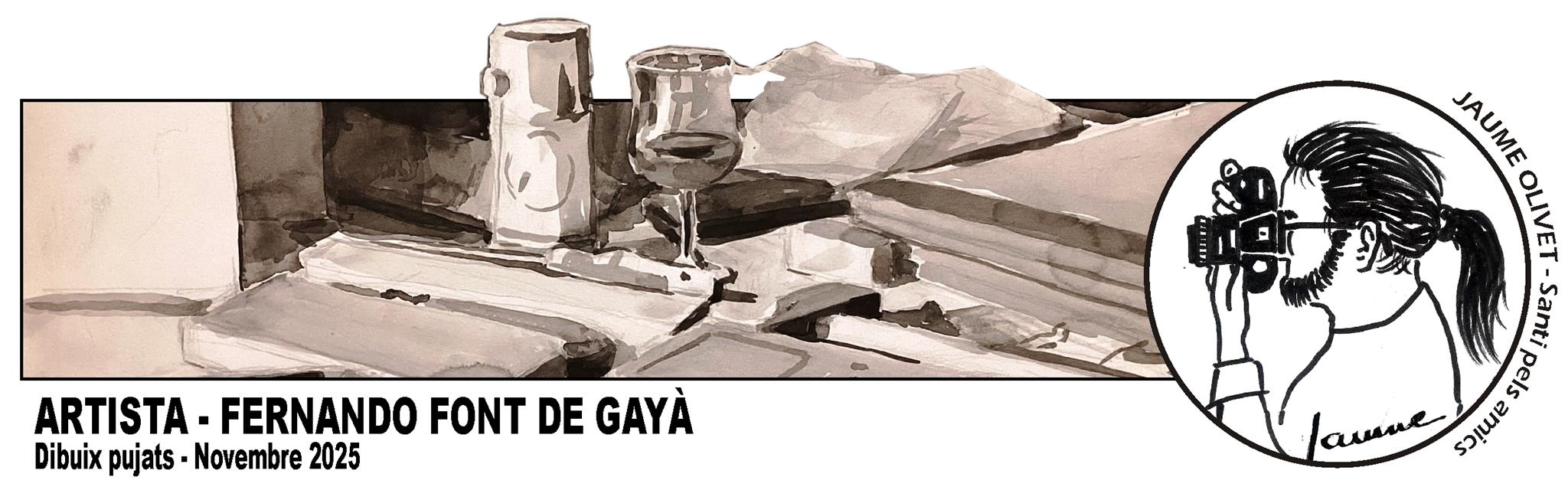 © Fernando Font de Gayà 2025