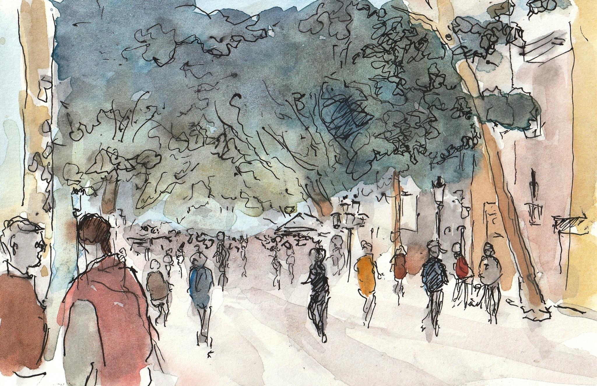 © Fernando Font de Gayà 2025