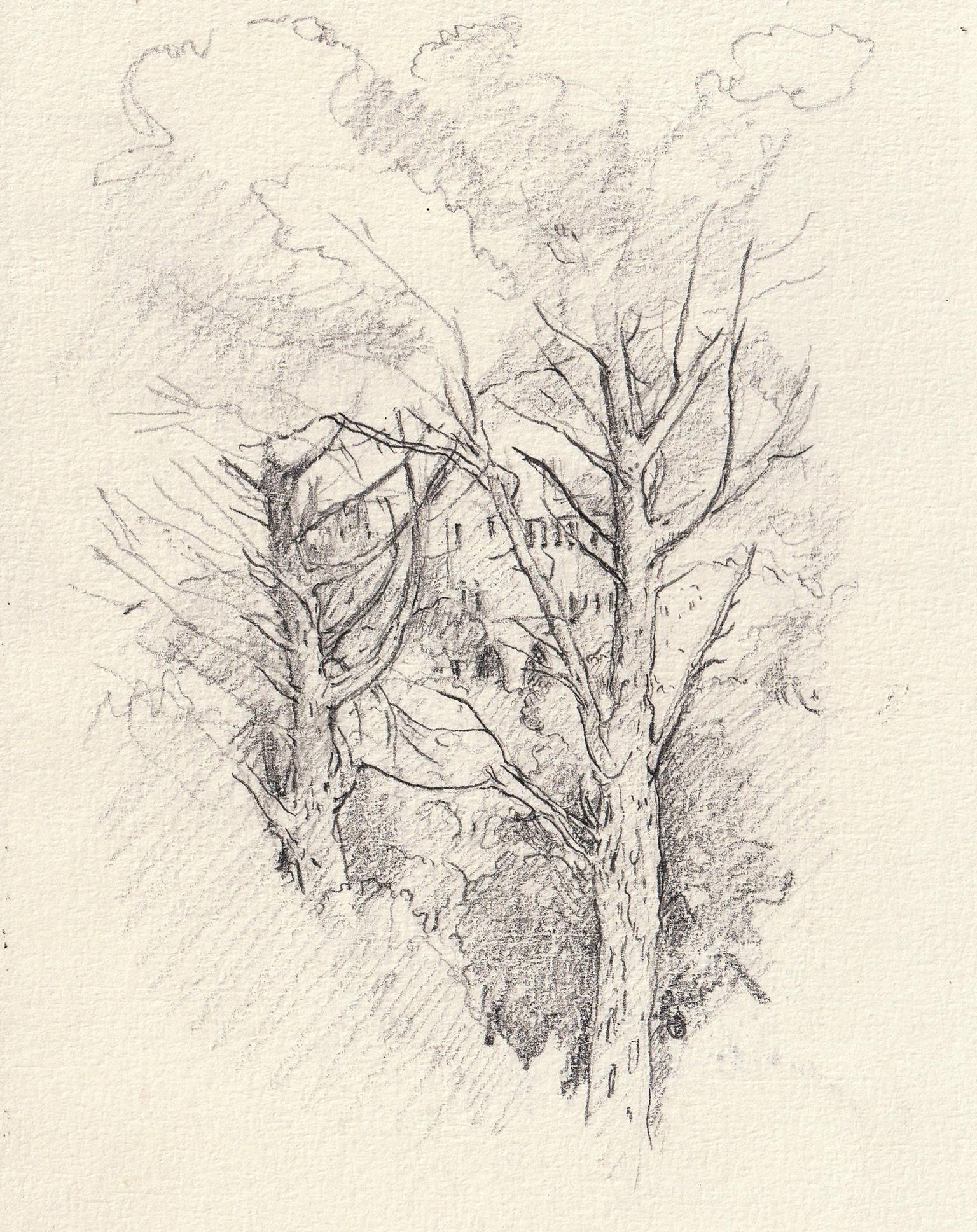 © Fernando Font de Gayà 2025