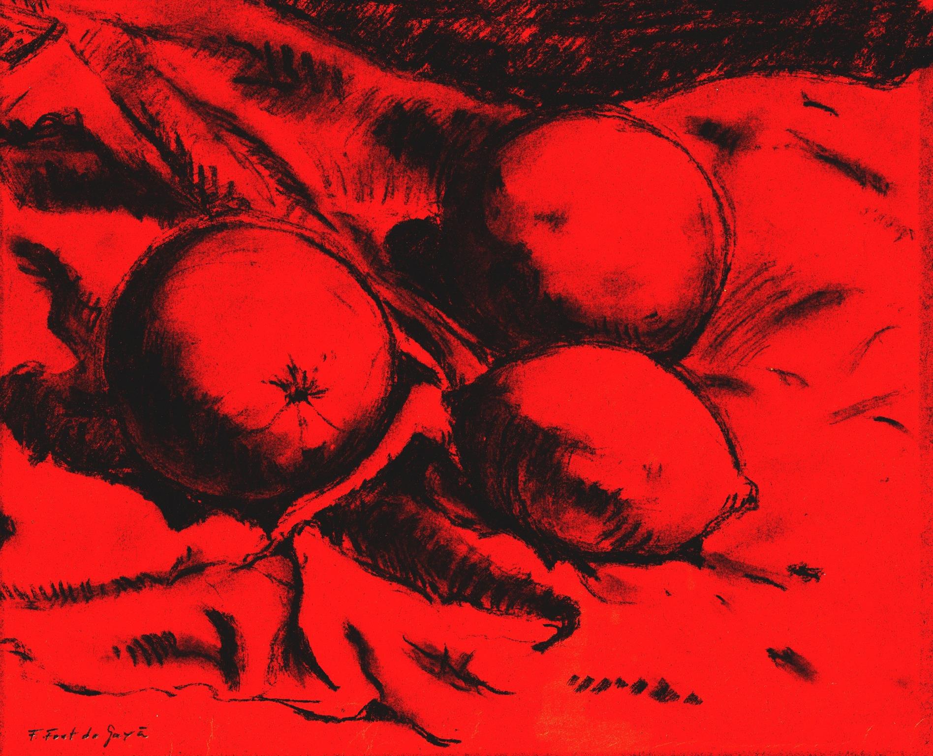 © Fernando Font de Gayà 2025