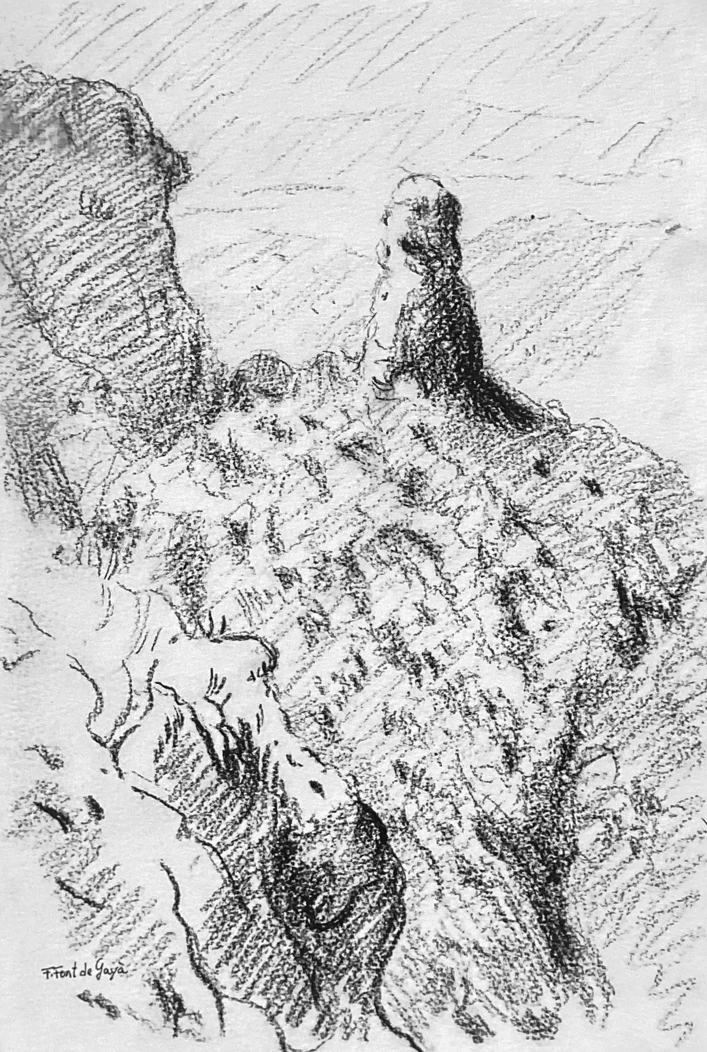 © Fernando Font de Gayà 2025