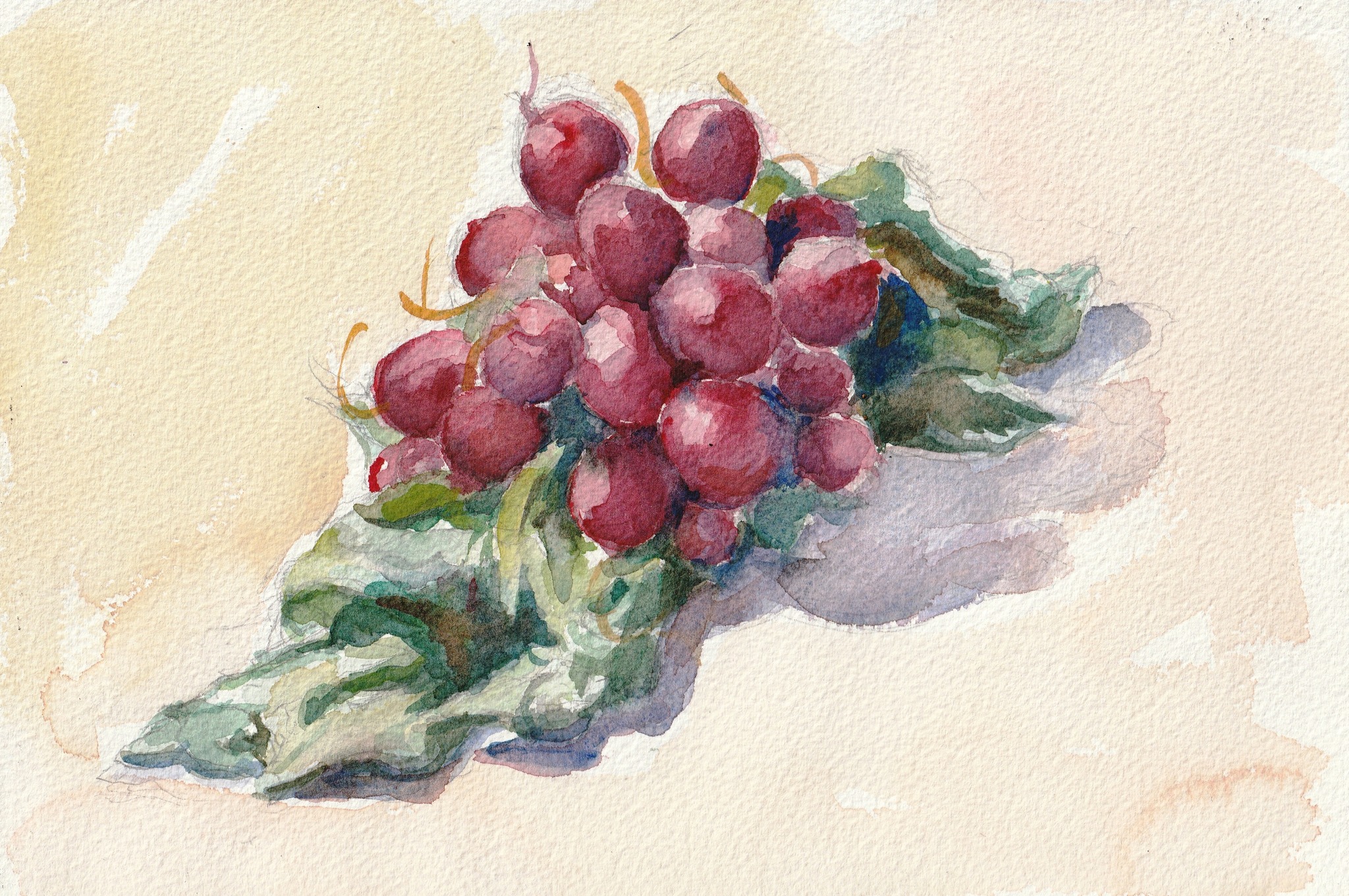 © Fernando Font de Gayà 2025