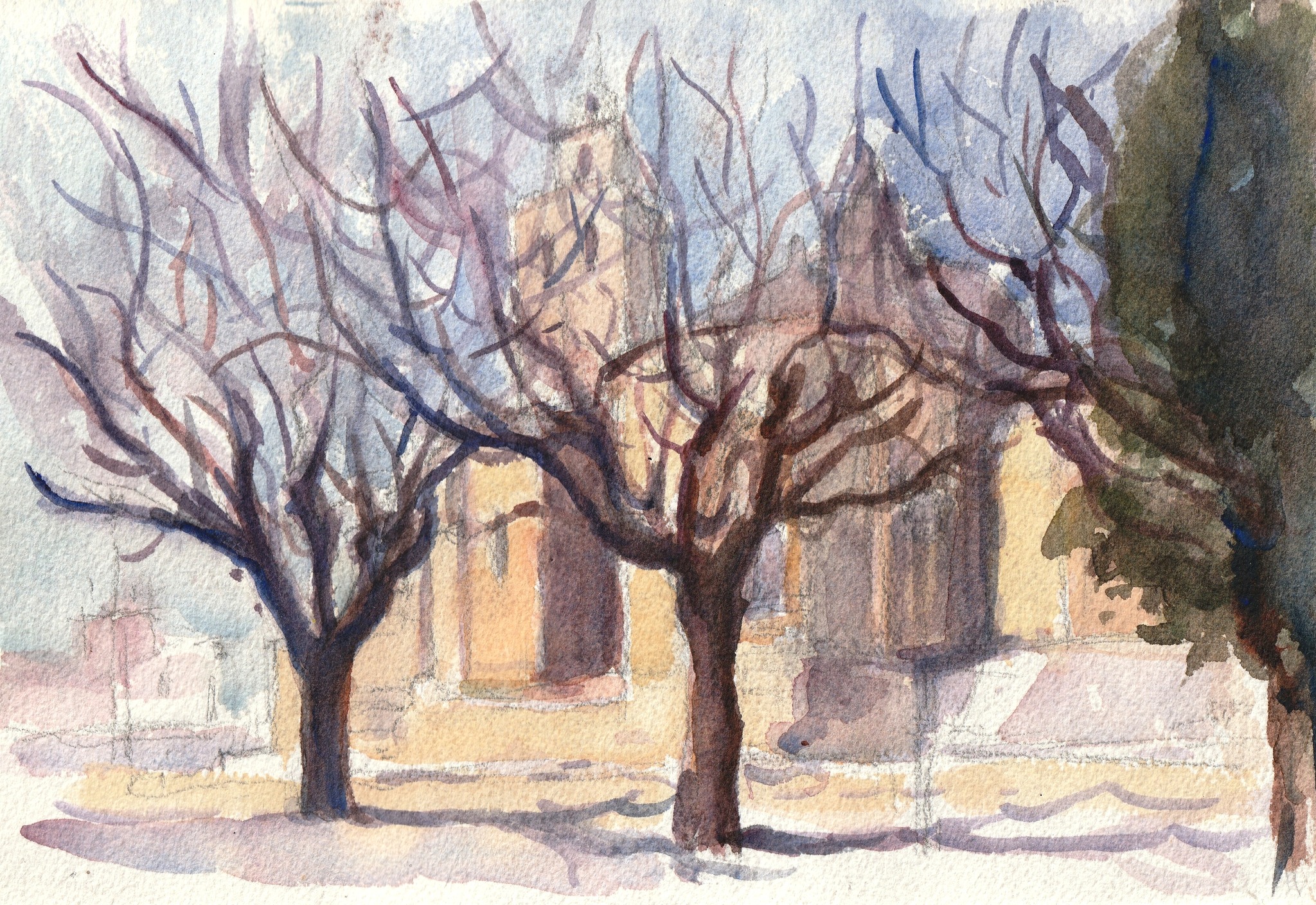 © Fernando Font de Gayà 2025