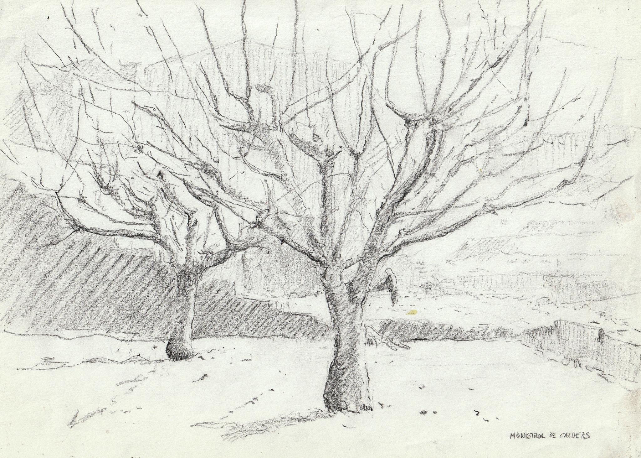 � Fernando Font de Gay� 2025