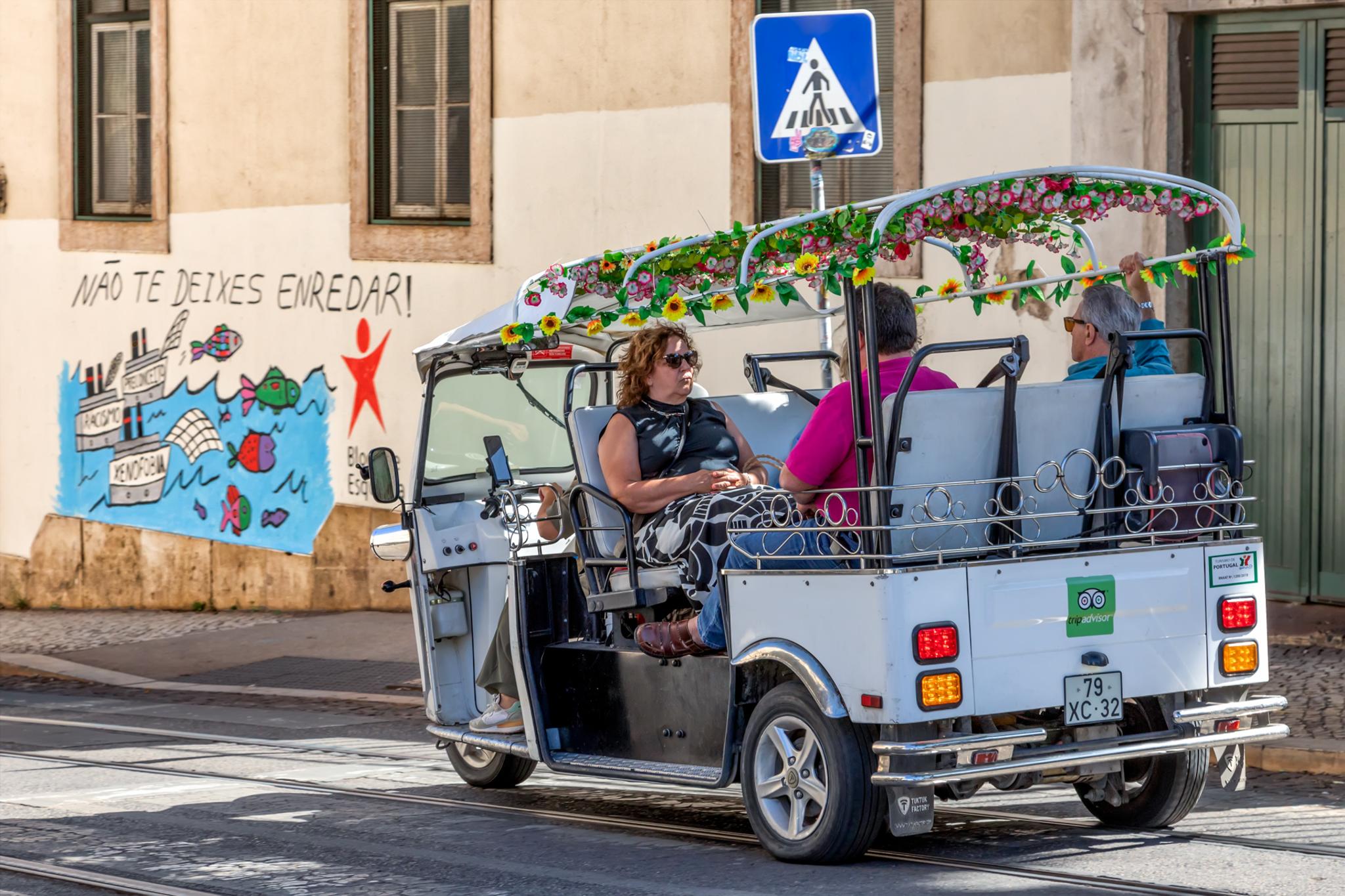  Jaume Jov 2025