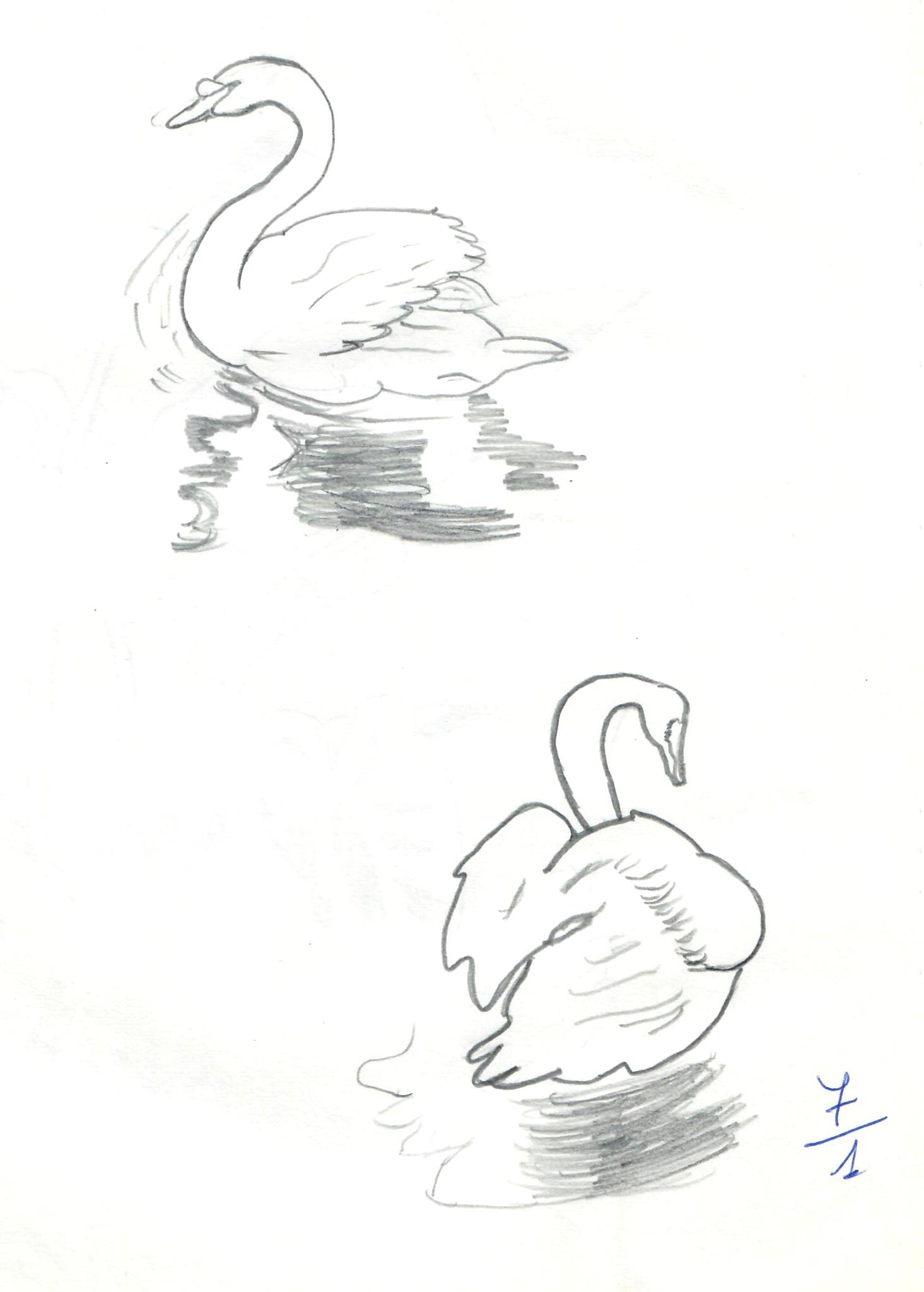 © Jaume Olivet 1979