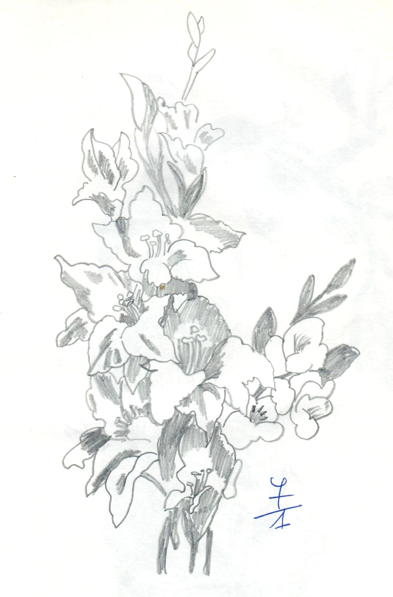 © Jaume Olivet 1979