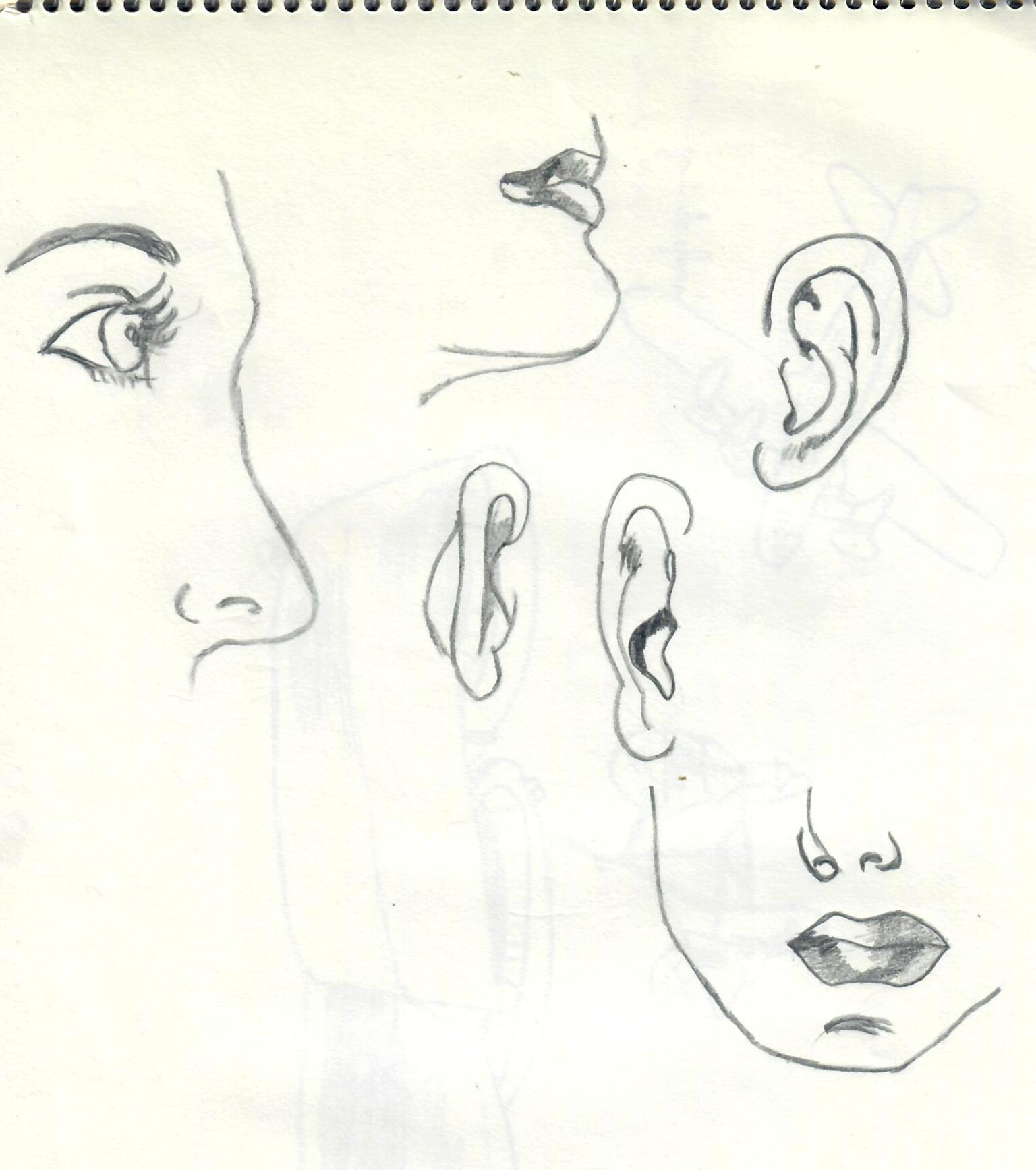 � Jaume Olivet 1979