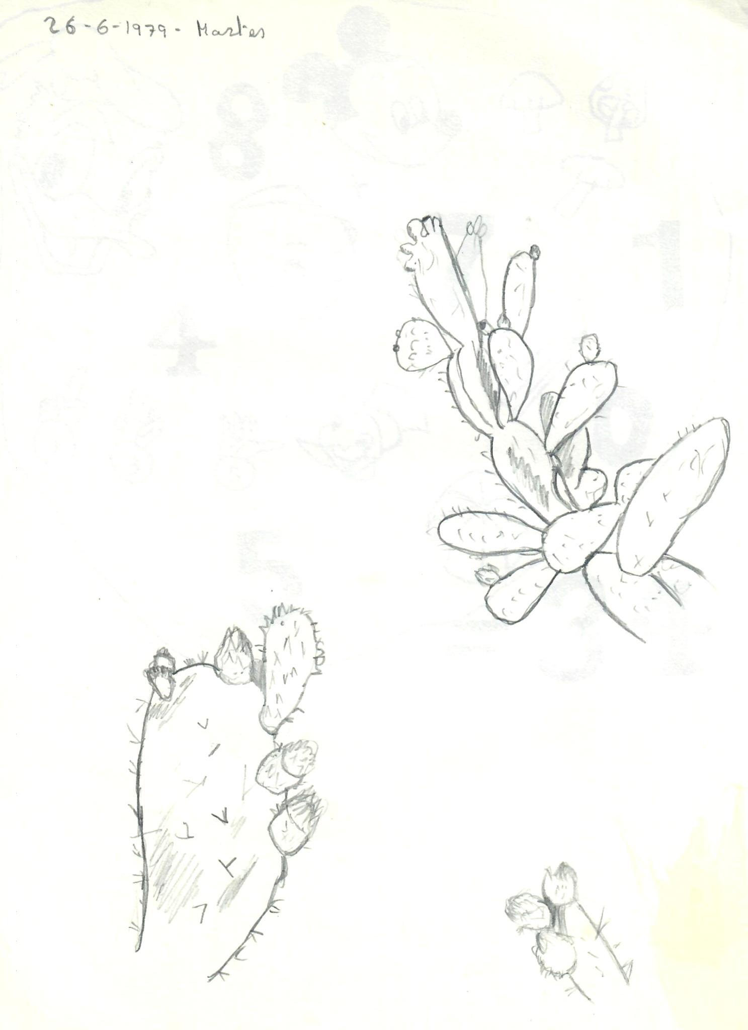 � Jaume Olivet 1979