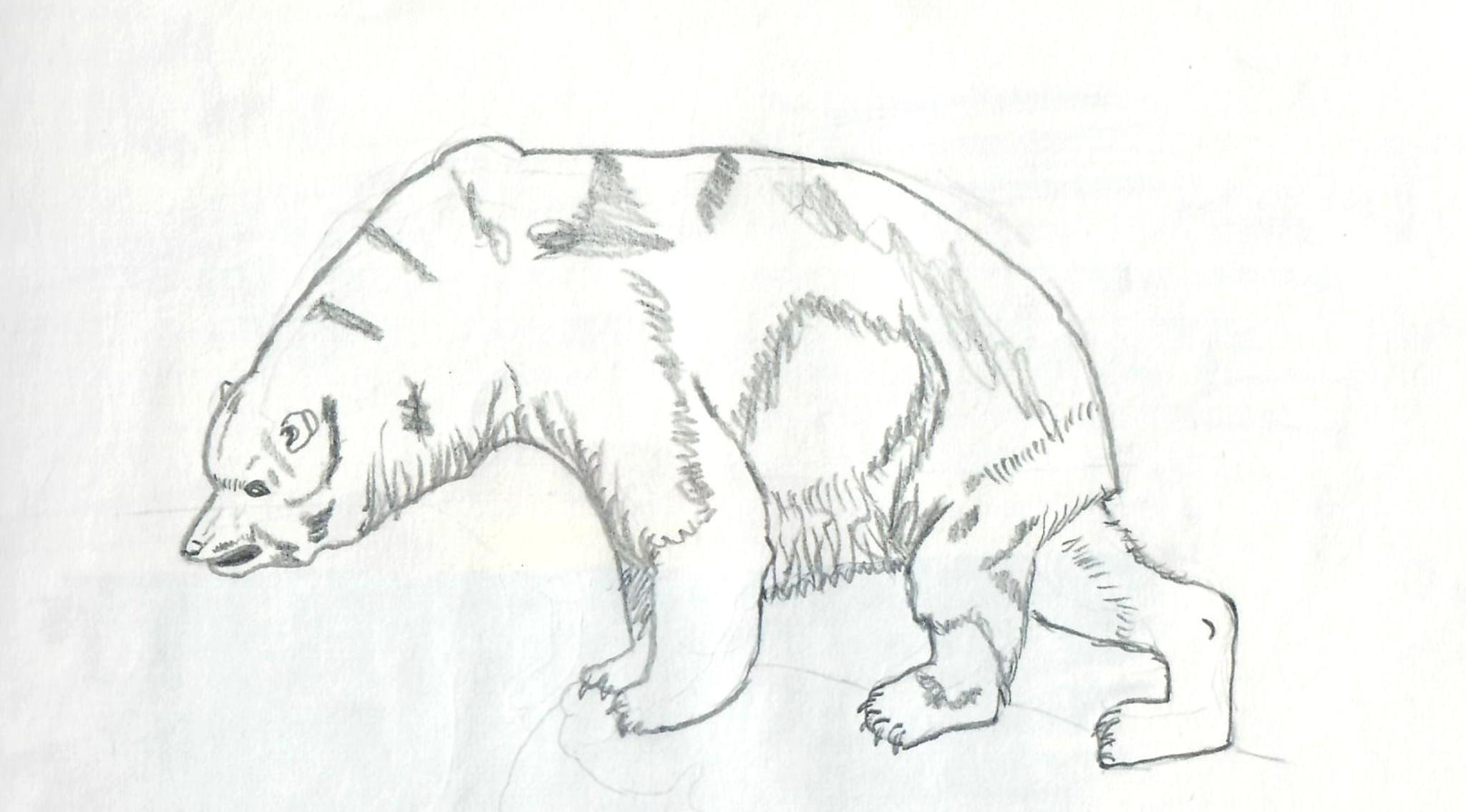 � Jaume Olivet 1979