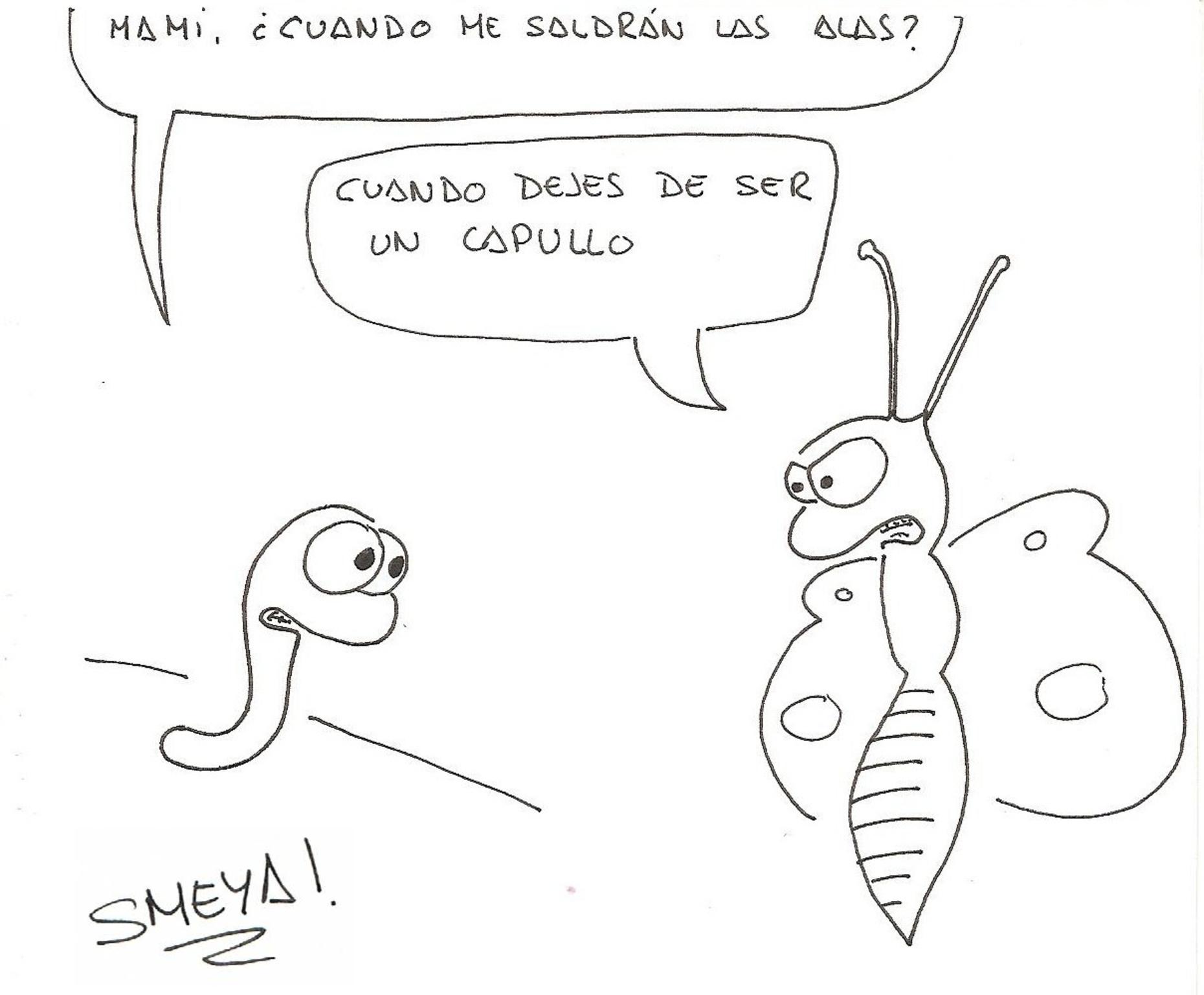  Sergi Meya 2025