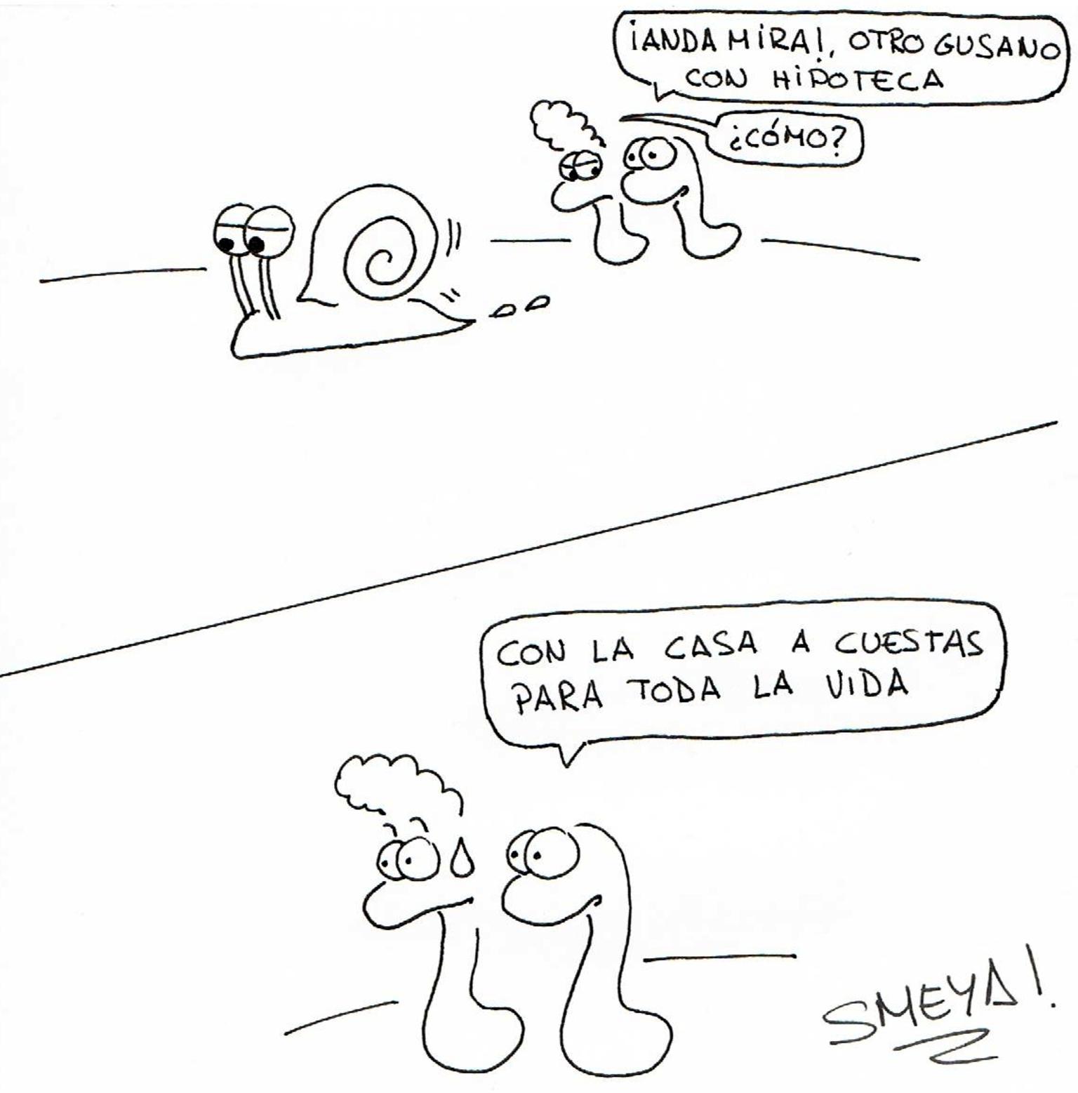 Sergi Meya 2025