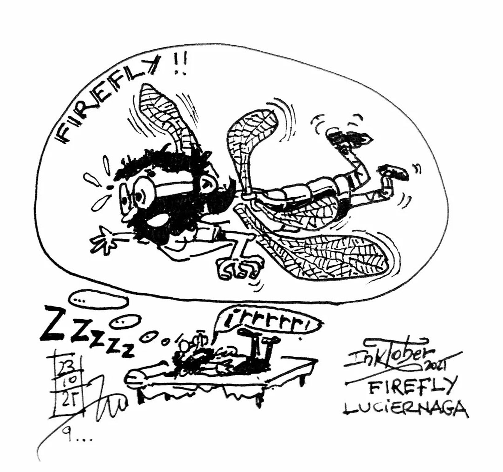 © Antoni Barreda 2025