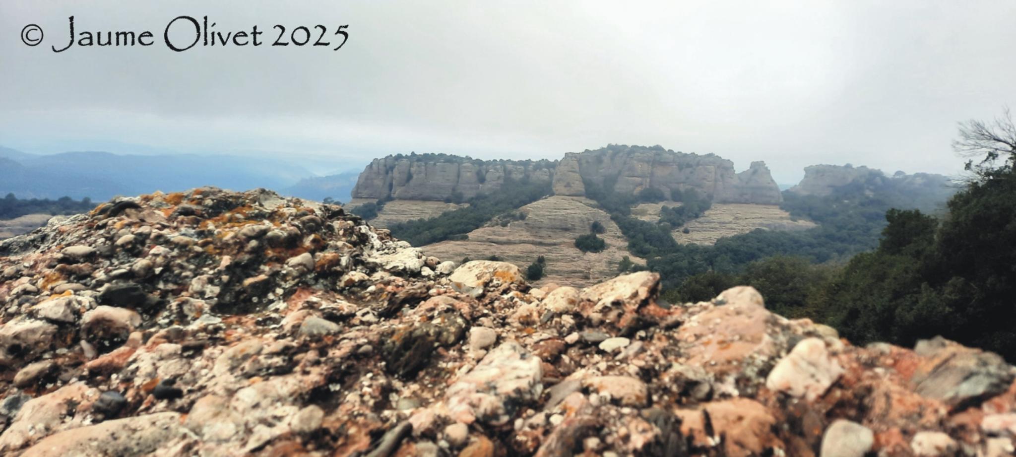  Jaume Olivet 2025