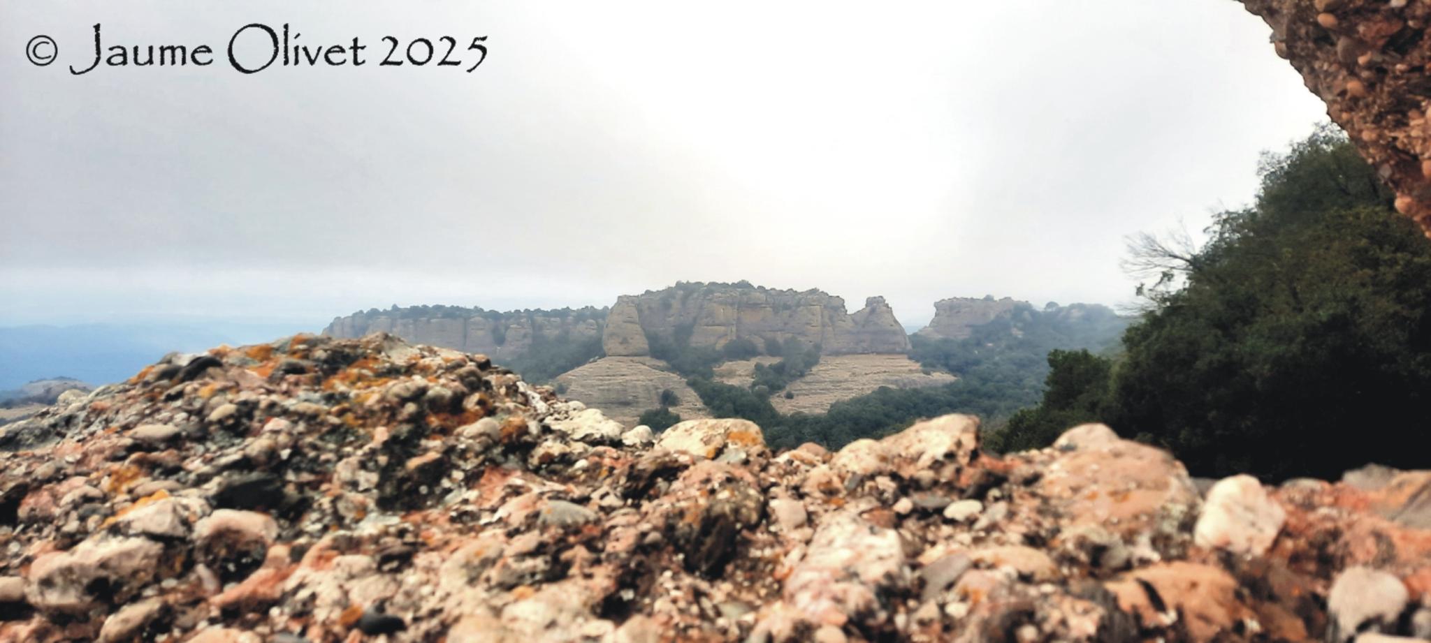  Jaume Olivet 2025