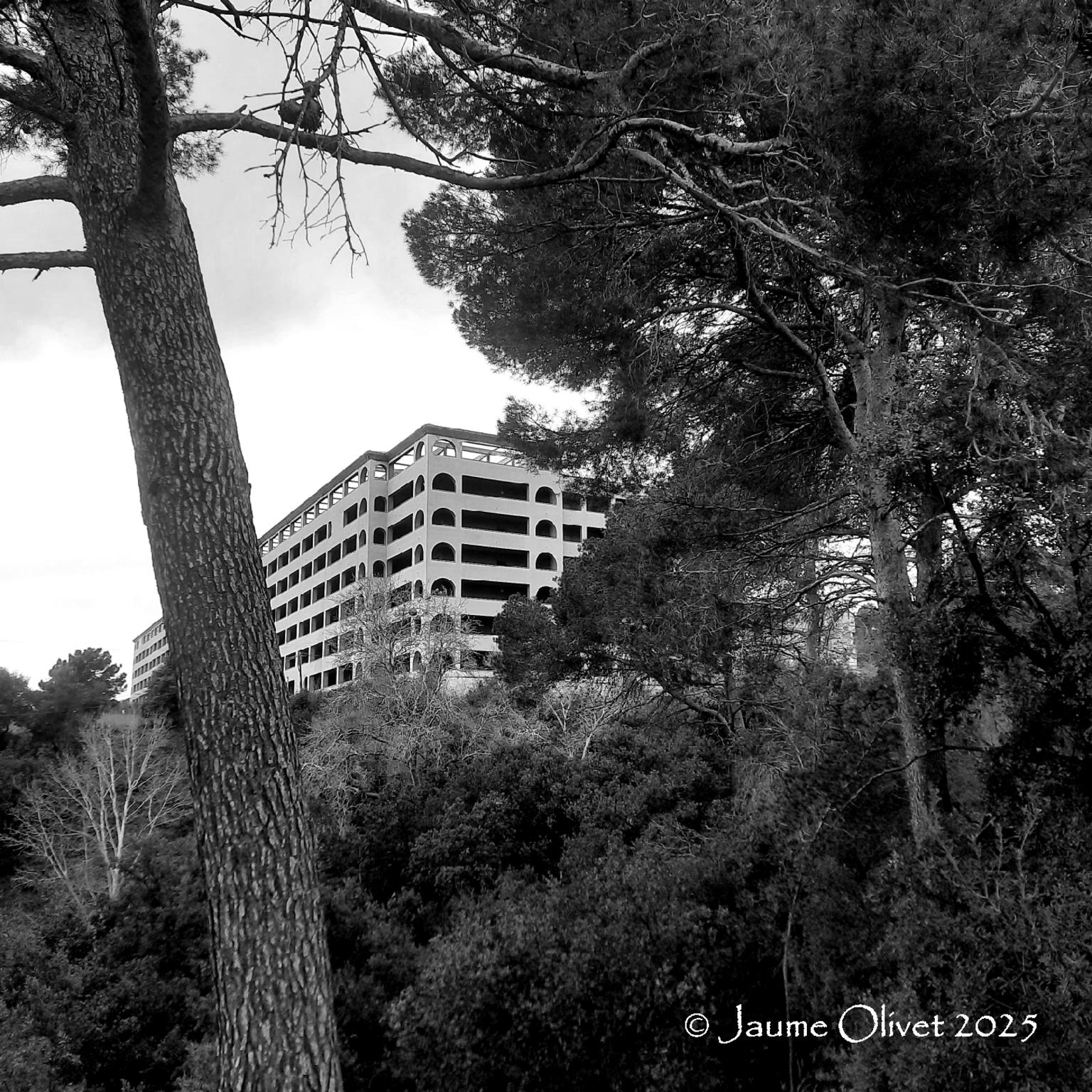  Jaume Olivet 2025