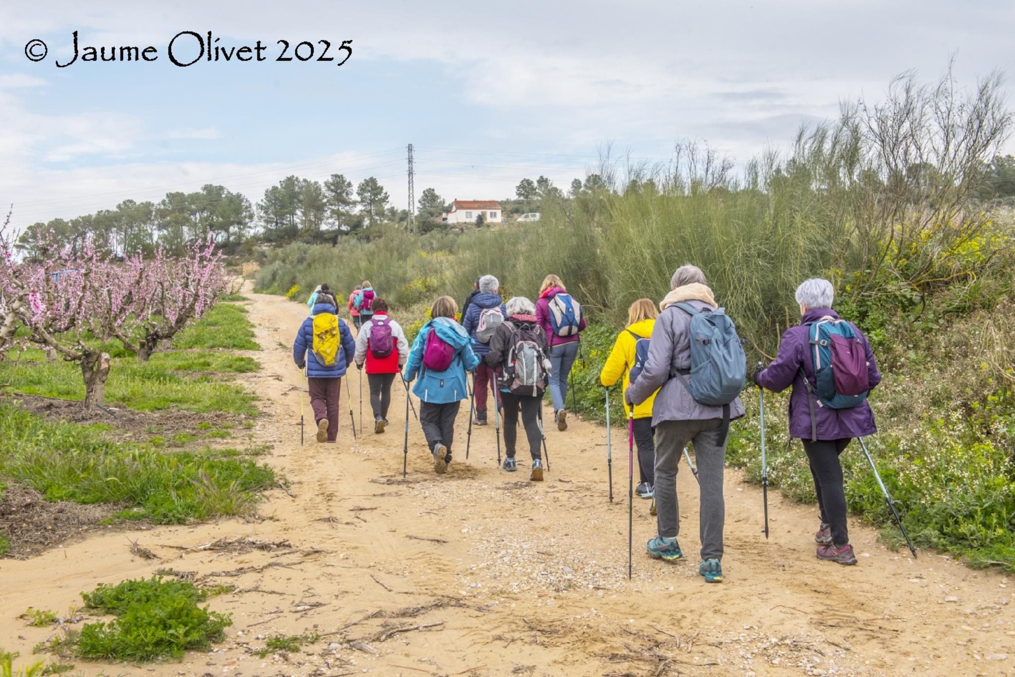  Jaume Olivet 2025