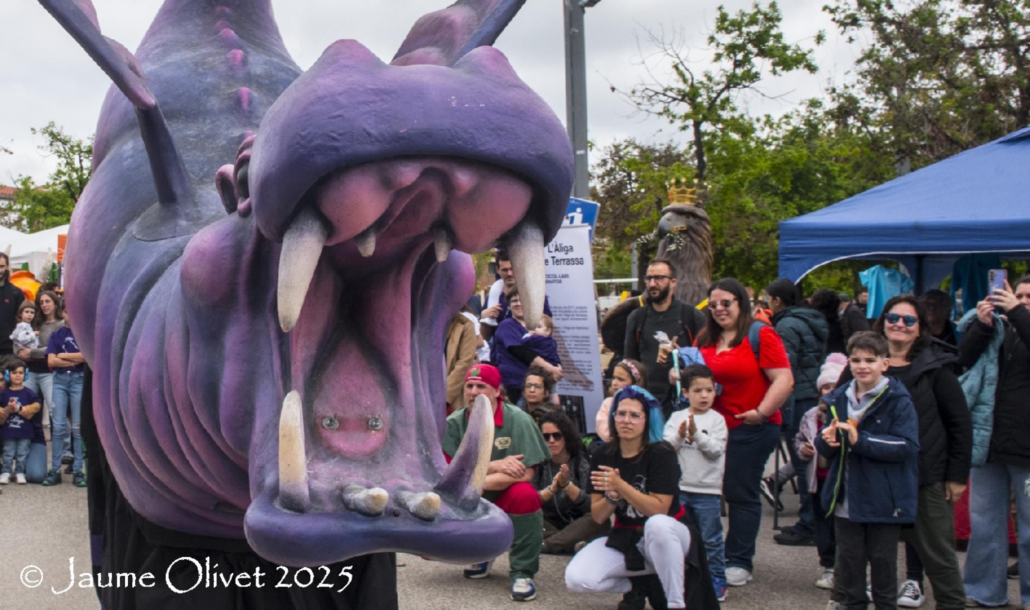  Jaume Olivet 2025